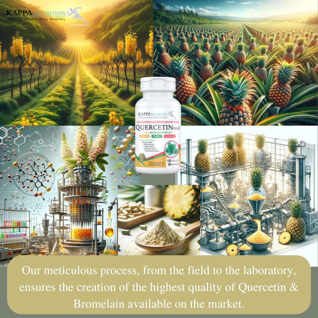 QUERCETIN PLUS, Quercetin 1,000mg, Bromelain 500mg and Vitamin C 1,000mg, (120 Capsules), 3 in 1 from Bioflavonoids, Supports Immune, Cardiovascular & Respiratory Health, Seasonal Allergy Relief. KAPPA NUTRITION uk supplements