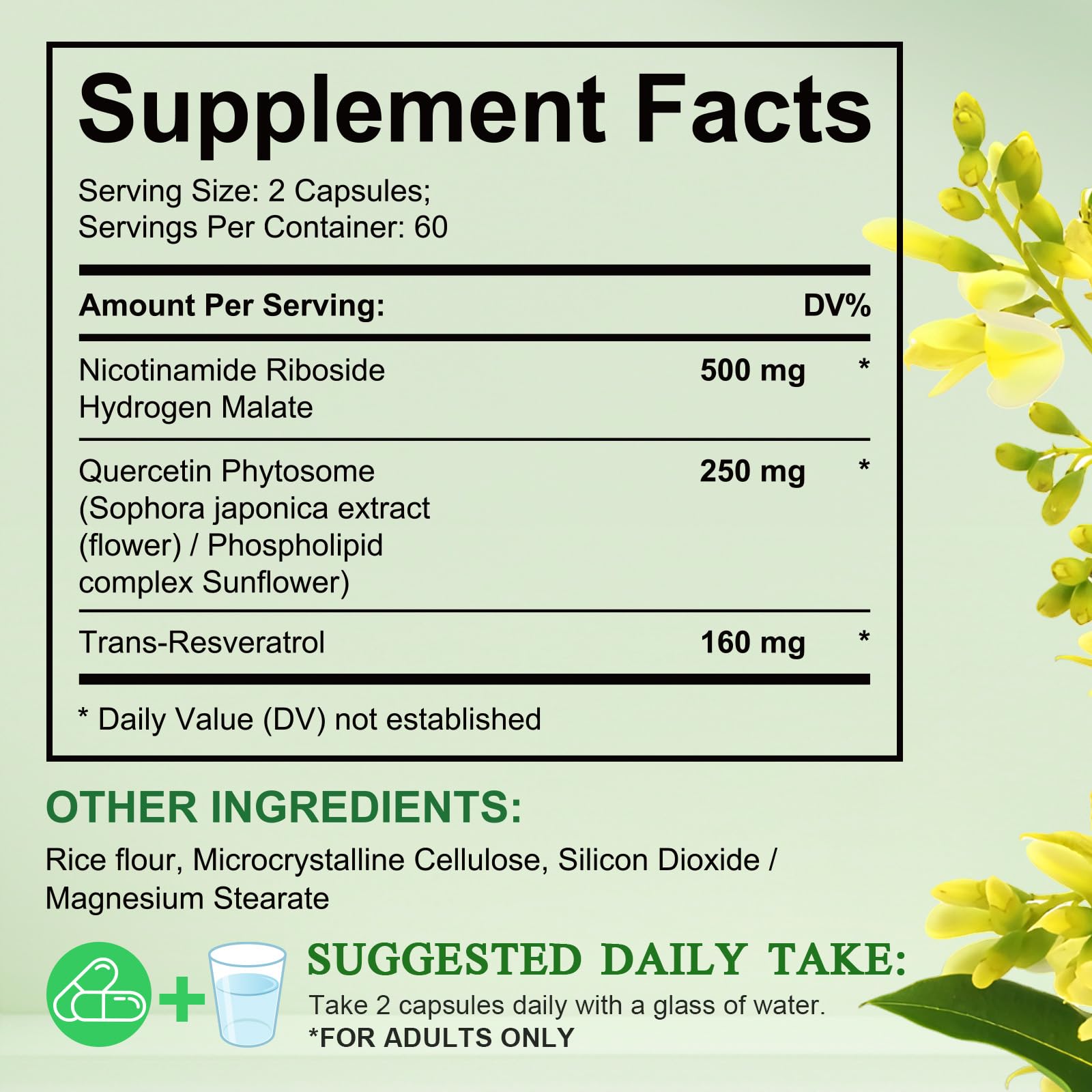 Xaarty NAD Supplement, 910MG Liposomal NAD for Women & Men, Nicotinamide Riboside, Resveratrol, Quercetin, NAD Resveratrol Supplement for Anti-Aging, 120 Capsules Xaarty uk supplements
