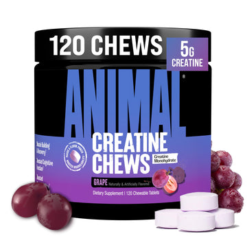Animal Creatine Chews – 5g Creatine Monohydrate Tablets for Strength, Power & Training Recovery Support – Enhanced Absorption with AstraGin® – Convenient Chewable Format – 120 Tablets Animal uk supplements