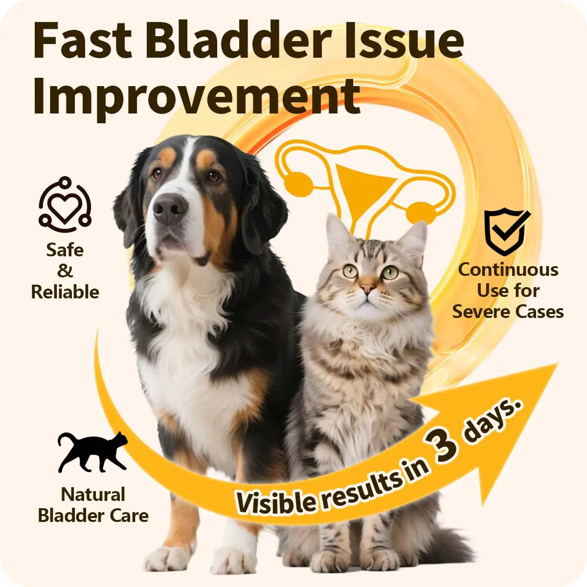 Cassiel Pet Bladder Supports Chews for Urinary Tract Health, Infection Treatments, Bladder Health, Dog UTI, Bladder Stones, Incontinence Support, Urinary Pain Relief for Cat & Dog 10 Chews (1 Bottle) Cassiel pet uk supplements