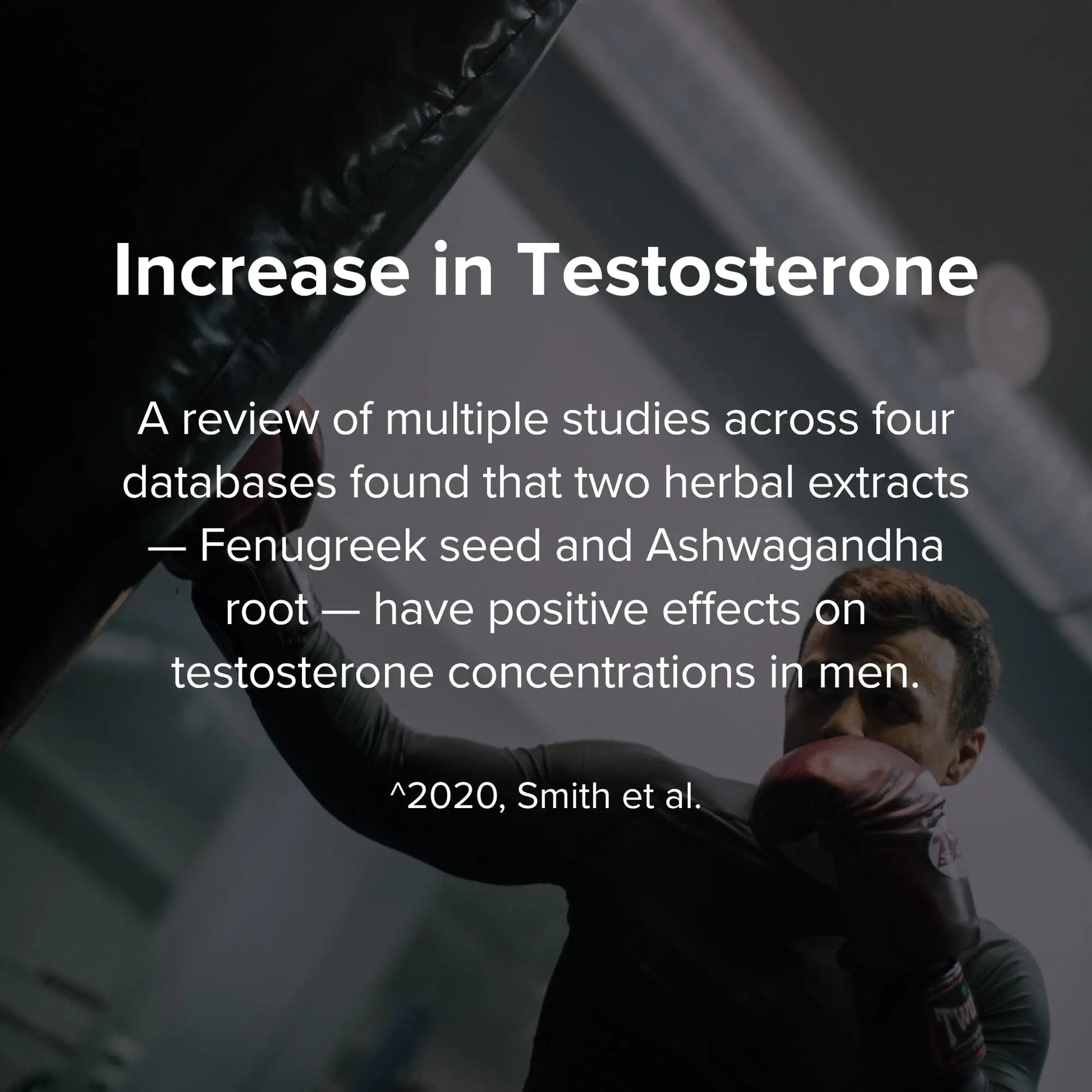 STRIVLABS Peak Potential 12-in-1  Support for Men – Fenugreek, Ashwagandha & Tongkat Ali – Natural Strength STRIVLABS uk supplements
