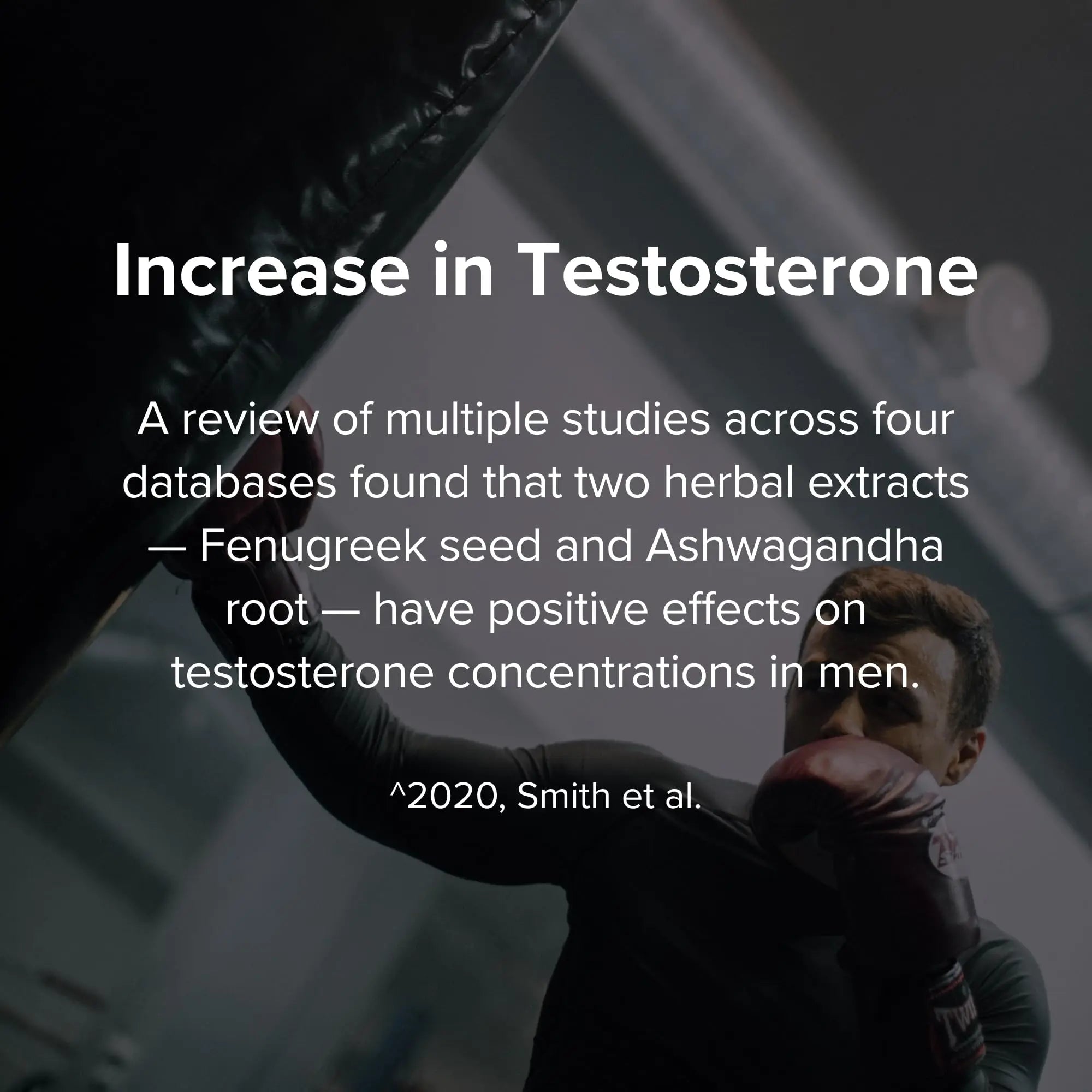 STRIVLABS Peak Potential 12-in-1  Support for Men – Fenugreek, Ashwagandha & Tongkat Ali – Natural Strength STRIVLABS uk supplements