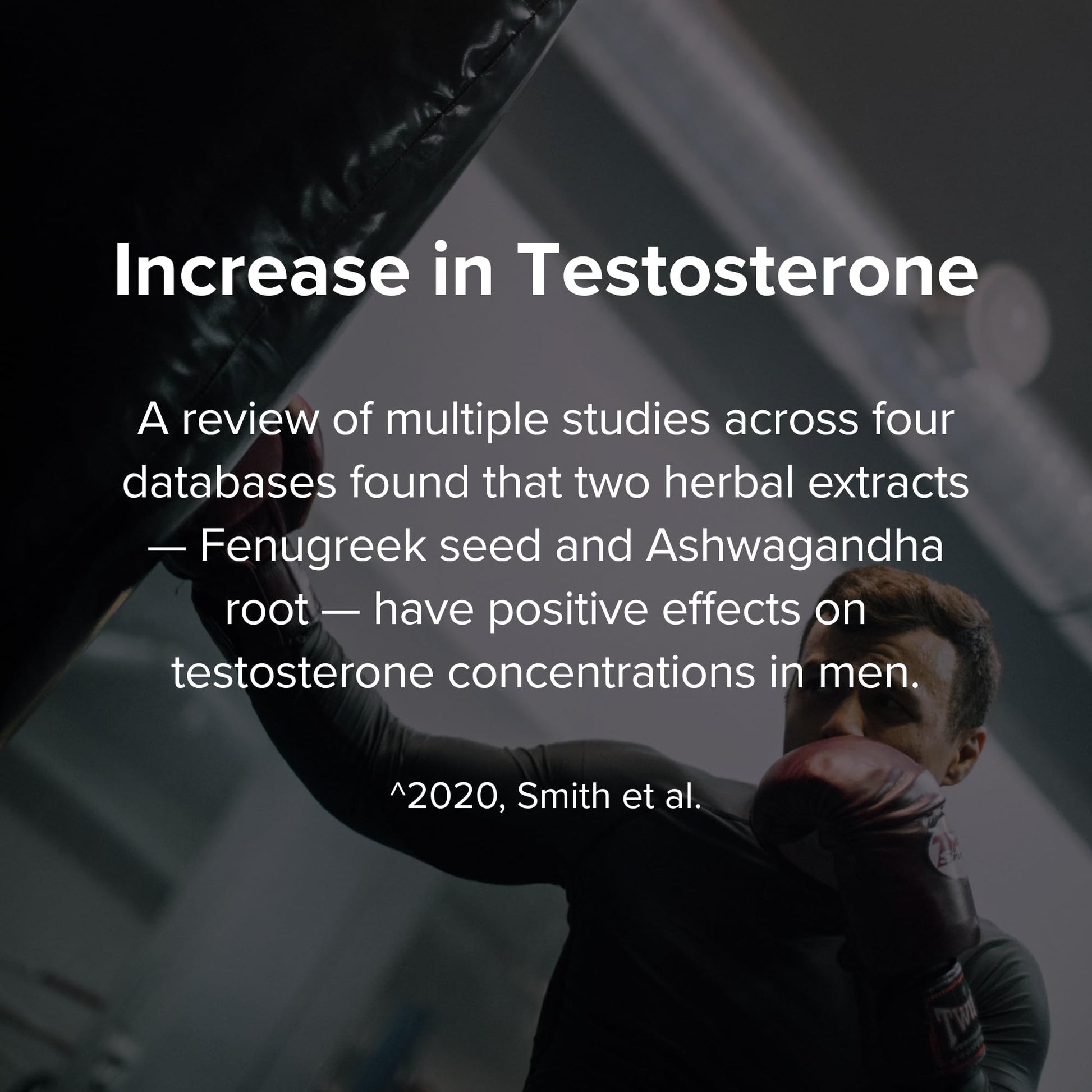 STRIVLABS Peak Potential 12-in-1 Testosterone Support for Men – Natural Strength, Energy & Muscle Builder with Tongkat Ali, Ashwagandha & Fenugreek – 90 Capsules STRIVLABS uk supplements