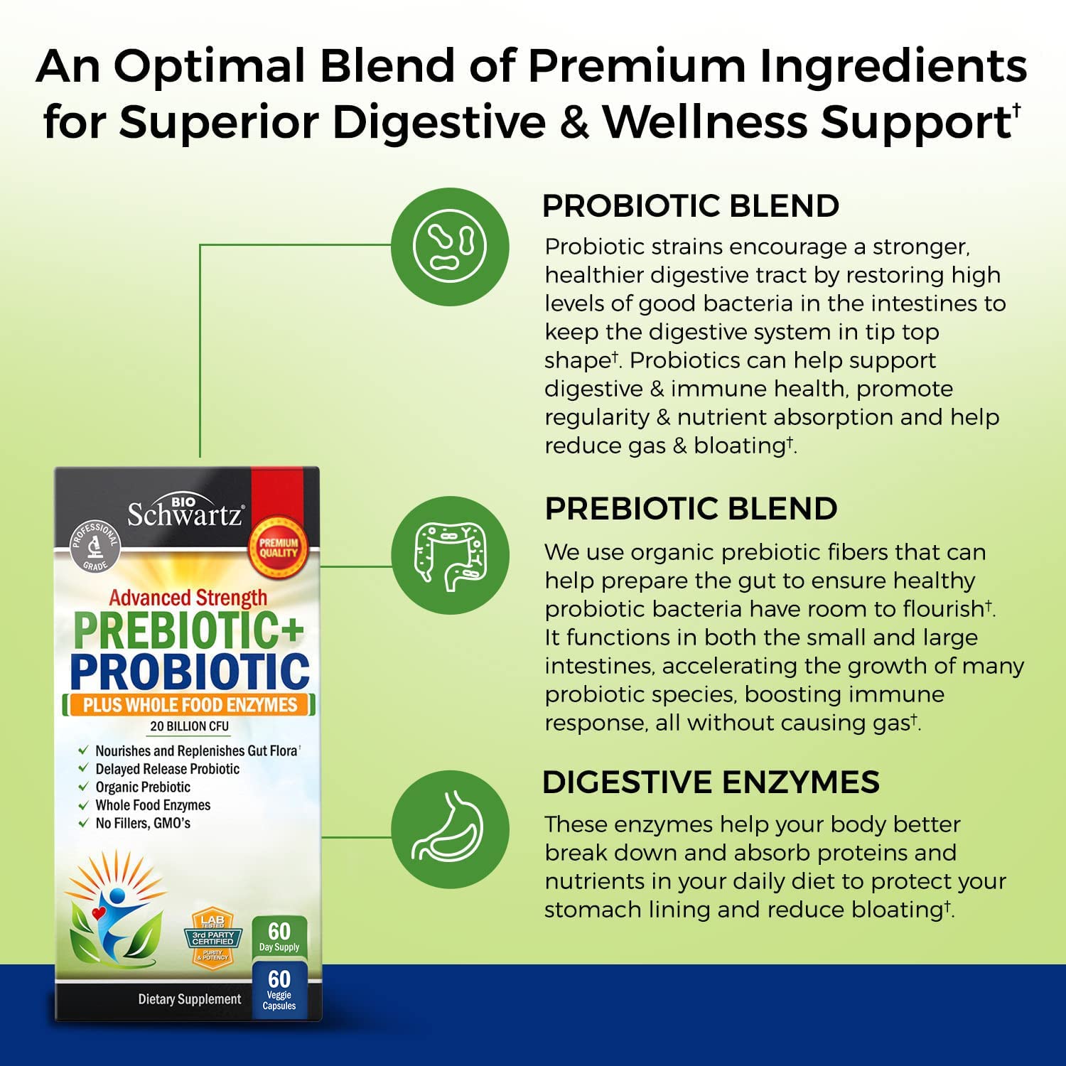 Prebiotics and Probiotic with Whole Food Enzymes for Adults Women & Men BioSchwartz uk supplements