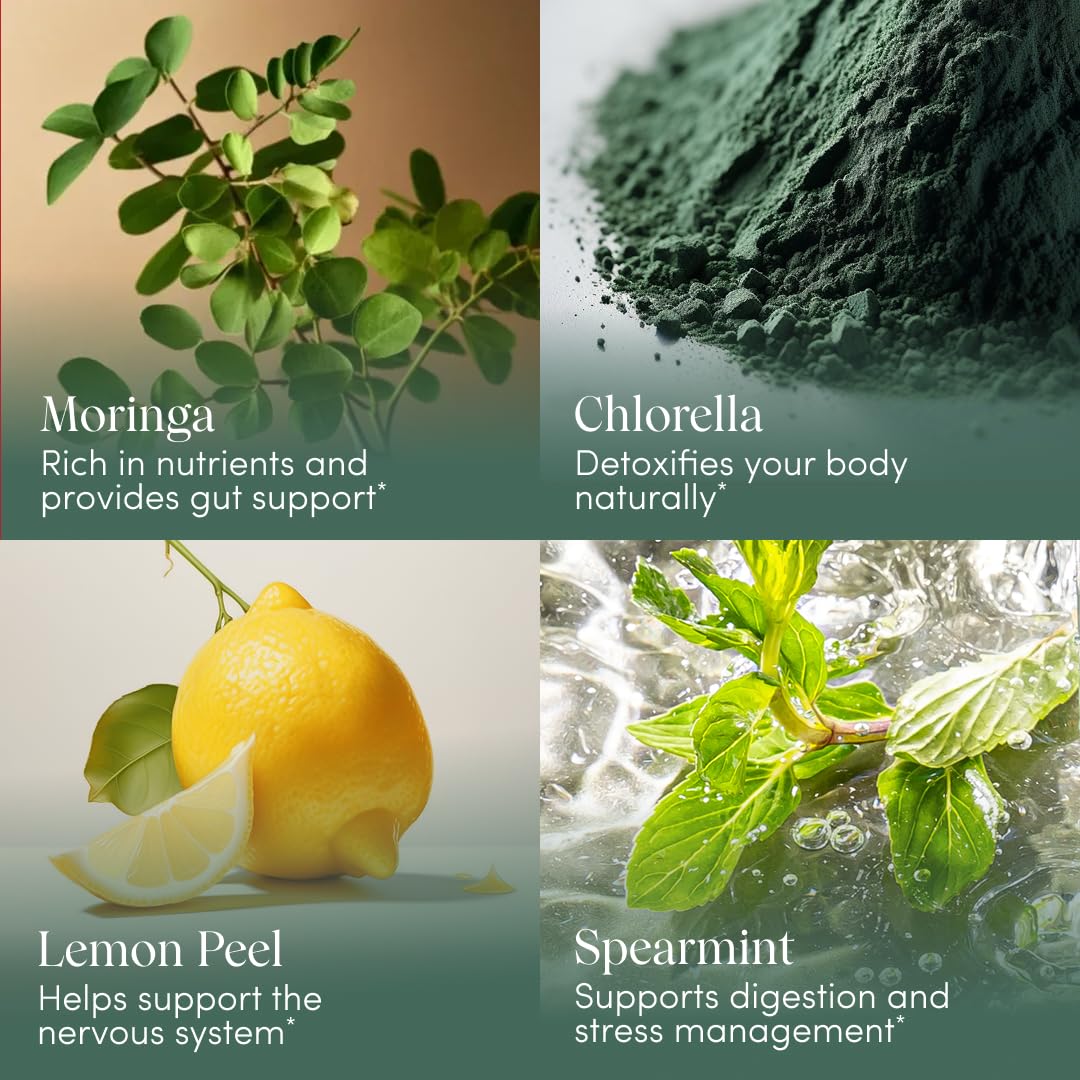 Apothékary Your Wildest Greens Herbal Liquid Drops, All-in-One Daily Superfood Supplement, Vitamin & Mineral Support, 5X Potency of Greens Powders, Sugar Free, Calorie Free, (15 Servings) 1.22oz Apothékary uk supplements