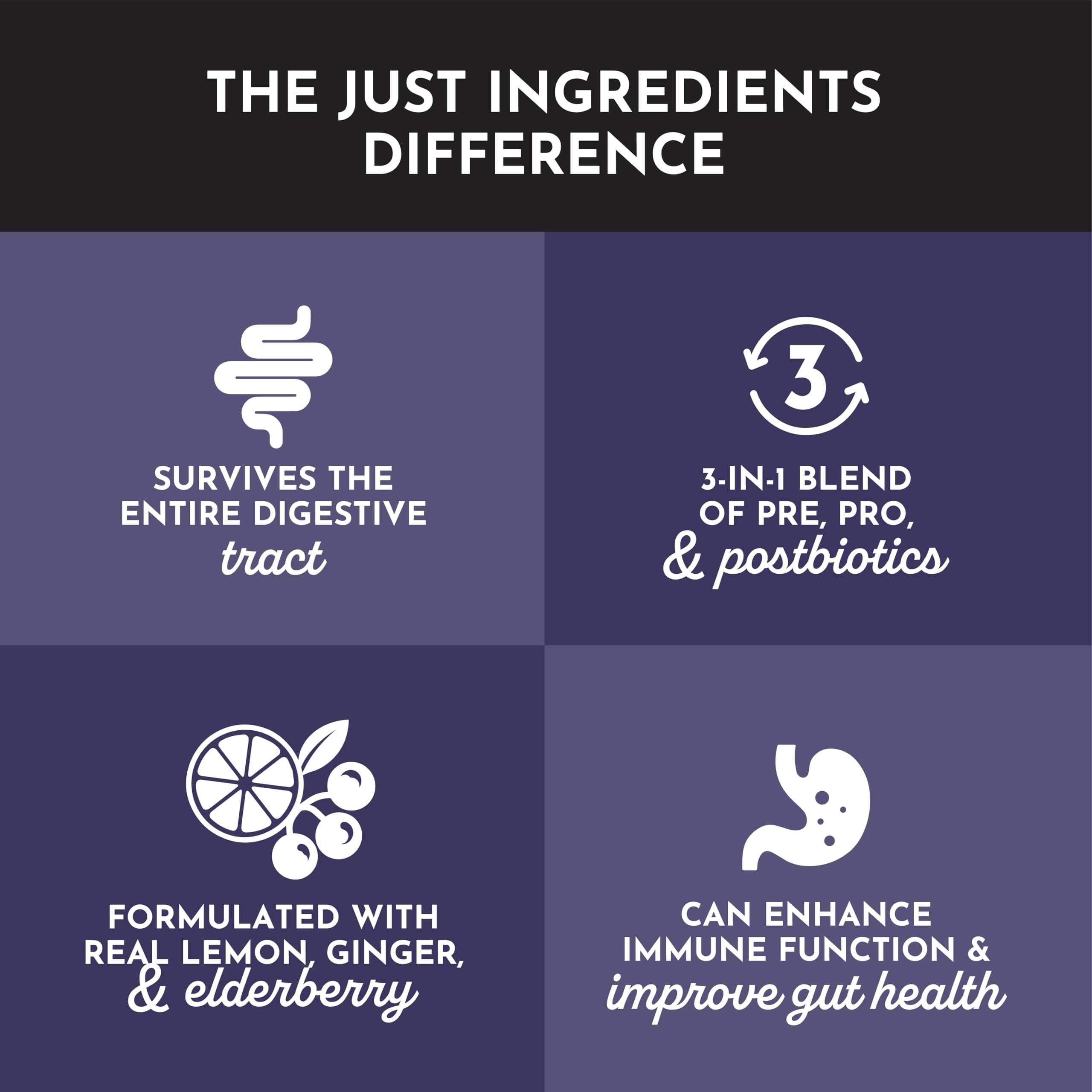 JUST INGREDIENTS Elderberry Lemonade 3-in-1 Probiotic Complex - Prebiotics, Probiotics & Postbiotics - 30 Sticks JUST INGREDIENTS uk supplements