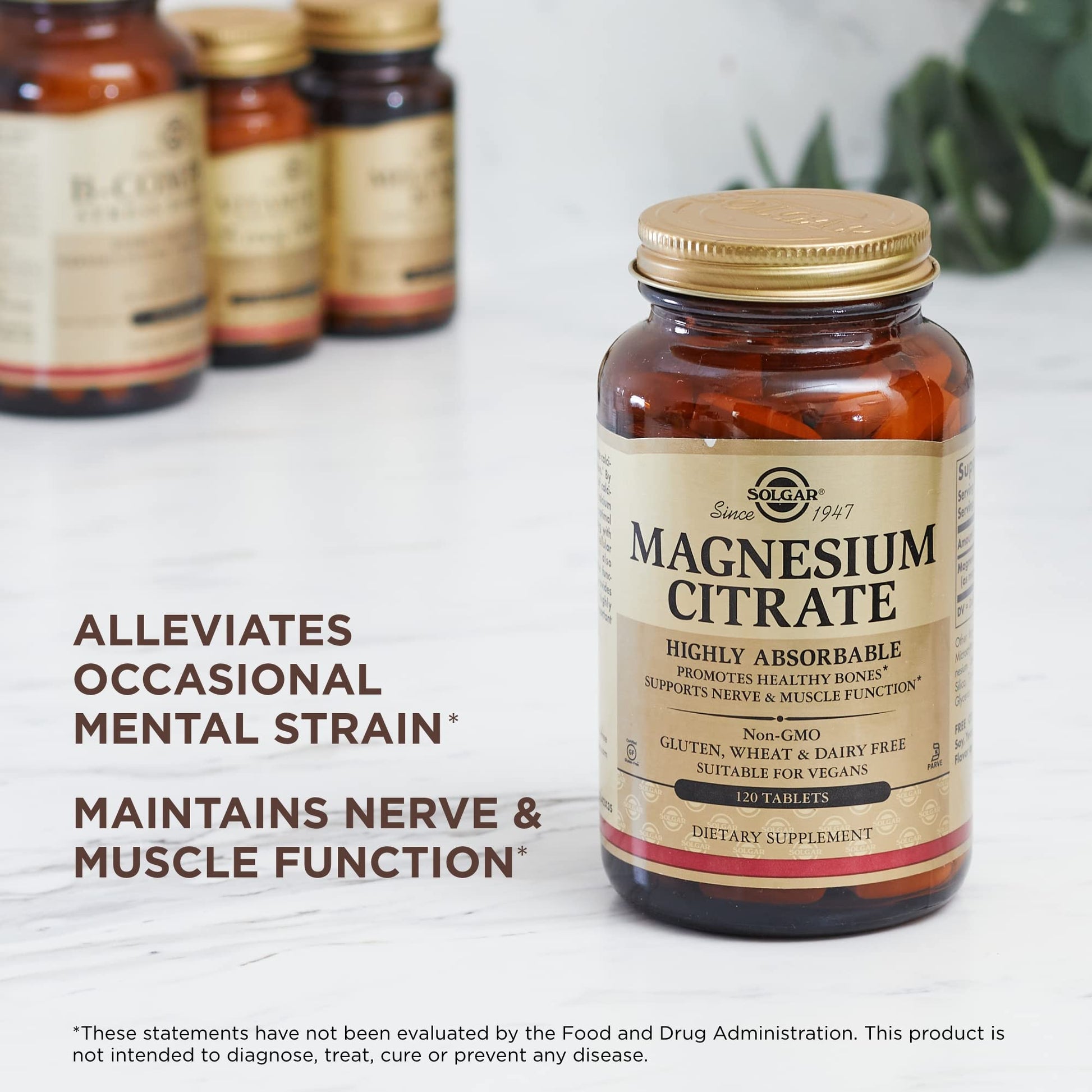 Solgar Magnesium Citrate - 120 Tablets, Pack of 2 - Promotes Healthy Bones, Supports Nerve & Muscle Function - Highly Absorbable - Non-GMO, Vegan, Gluten Free, Kosher - 120 Total Servings Solgar uk supplements