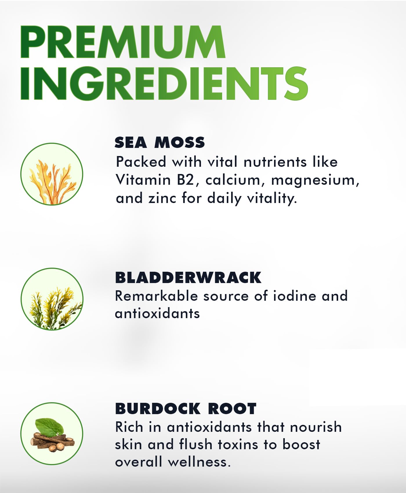 BIO VITALICA Sea Moss Gummies – with Bladderwrack & Burdock Root – Wildcrafted Gel + Powder – Vegan, Keto, Non-GMO, Gluten-Free – Fruity Mineral-Rich Gummies – 50 Count (3 Pack) BIO VITALICA uk supplements
