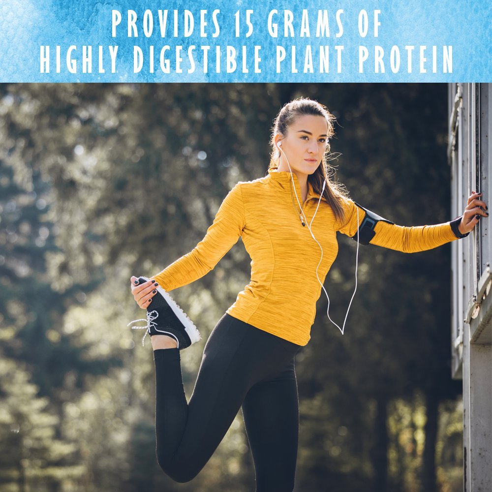 Garden of Life Organic Plant Based Protein Powder - Smooth Vanilla, Vegan, Grain Free Garden of Life uk supplements