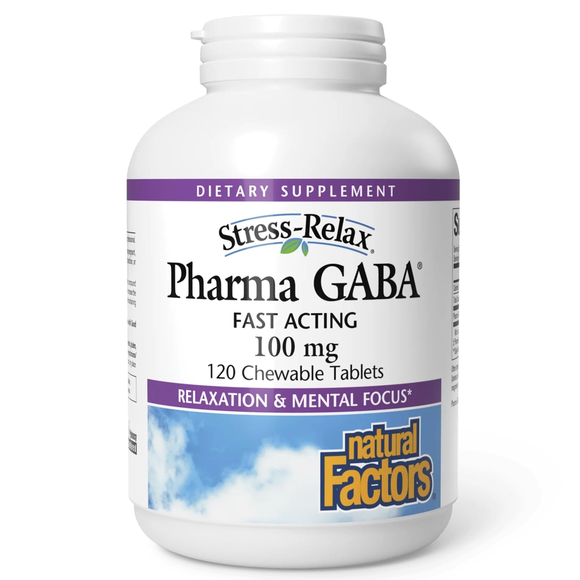 Natural Factors Pharma GABA - Dietary Supplement Supports Calm Sleep & Sleep Quality - Natural, Fast-Working Supplement Aids Focus & Brain Health - 120 Chewable Tablets (60 Servings) Natural Factors uk supplements