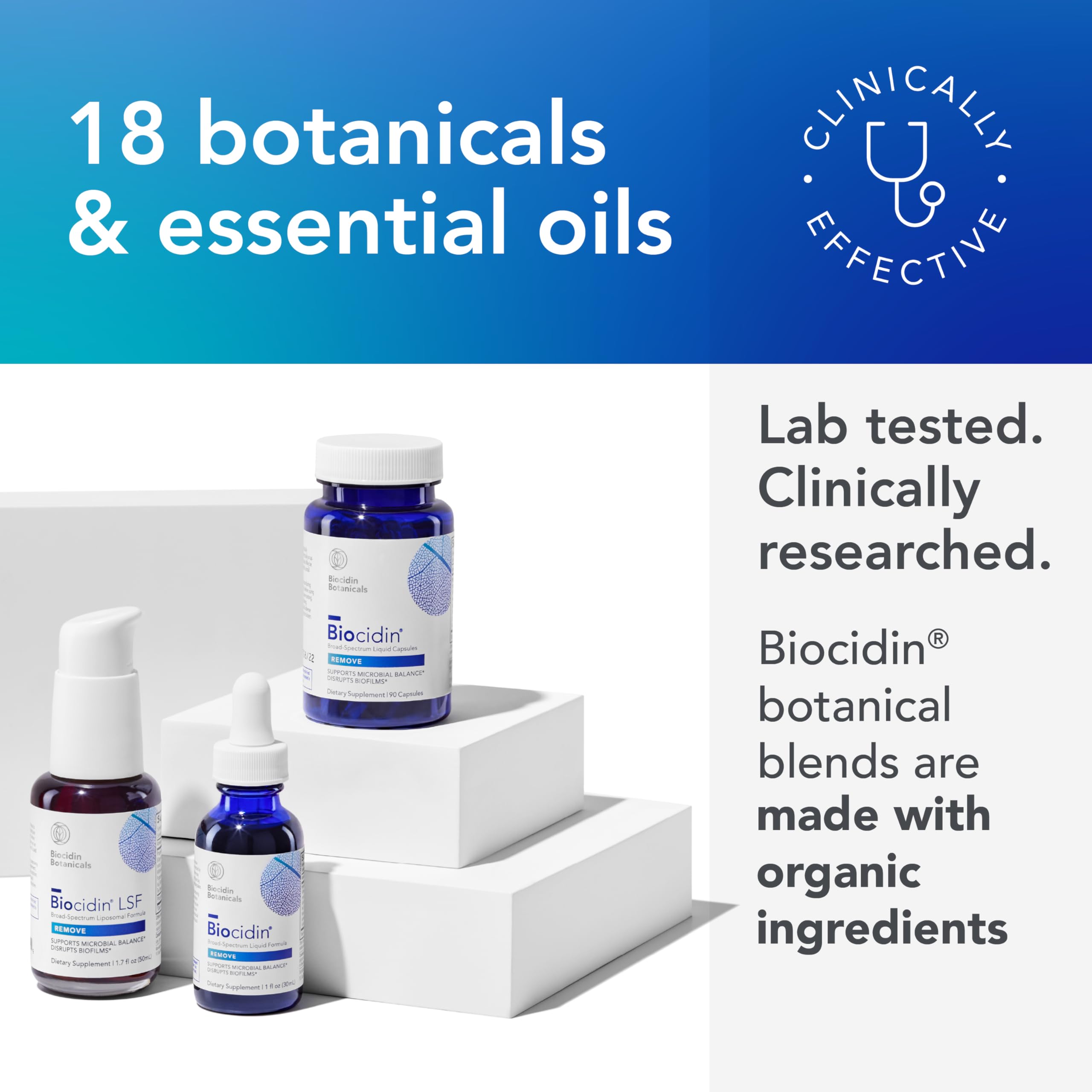 Biocidin Capsules - Biofilm Disruptor - Supports Gut Detox Cleanse, Healthy Microbial Balance, Immune Function & Gut Health - Professional-Grade Herbal Supplement