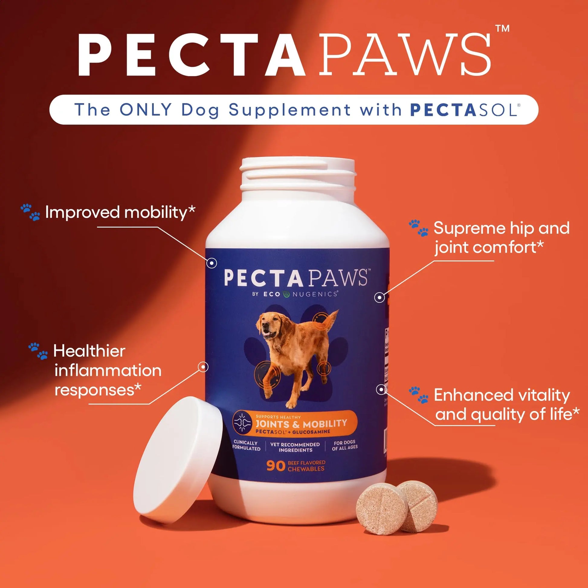 ecoNugenics PectaPaws Chewable Dog Supplements – Beef Flavor, 90 Count – PectaSol Modified Citrus Pectin + Glucosamine HCI for Dogs of All Ages, Supports Mobility, Joints, Immune Function, Pain Relief EcoNugenics uk supplements