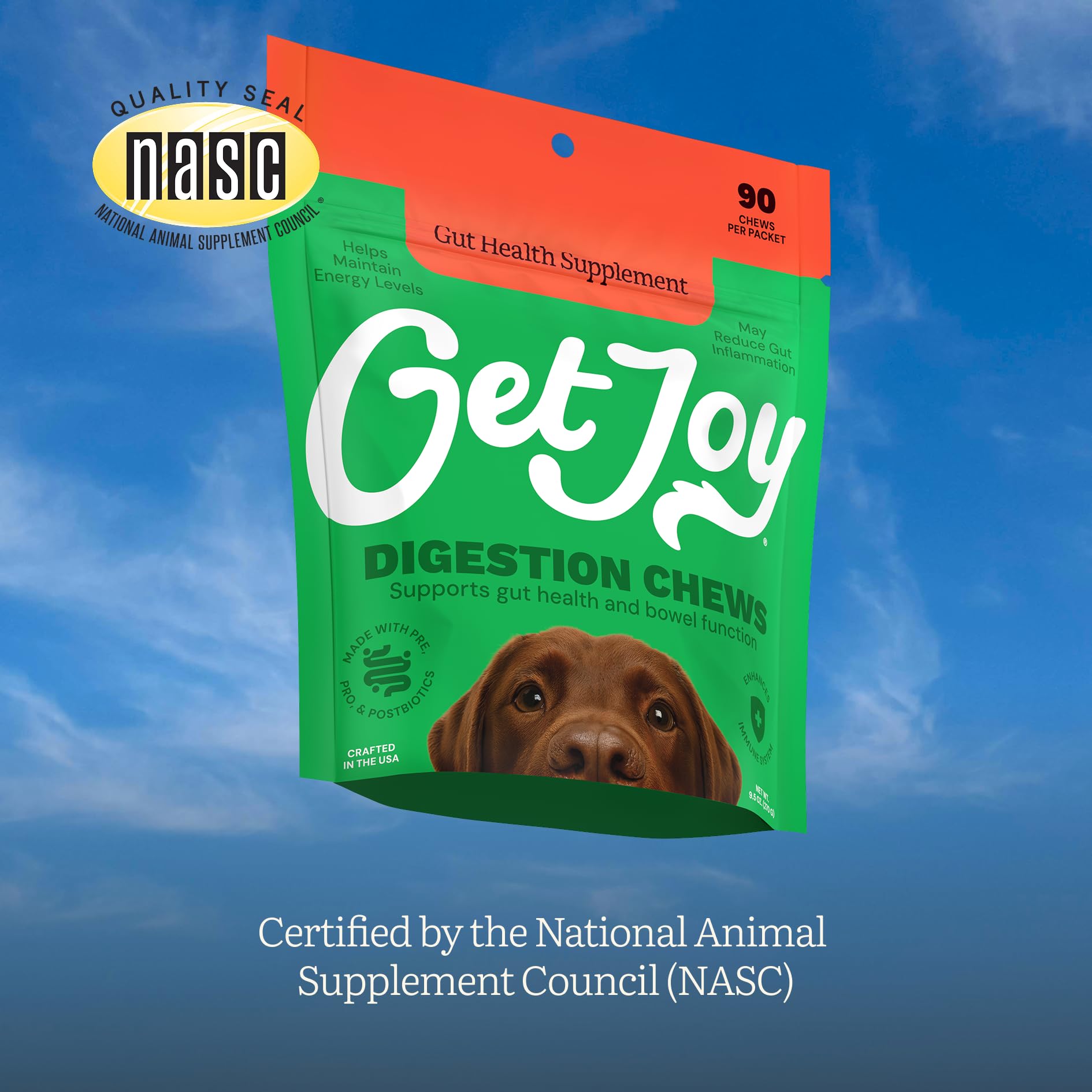 Get Joy Digestion Chews, Gut Health Supplement for Dogs, Vet Recommended Soft Daily Digestive Health & Immune Support with Prebiotics, Probiotics & Postbiotics, Made in USA, 90 Count Get Joy uk supplements
