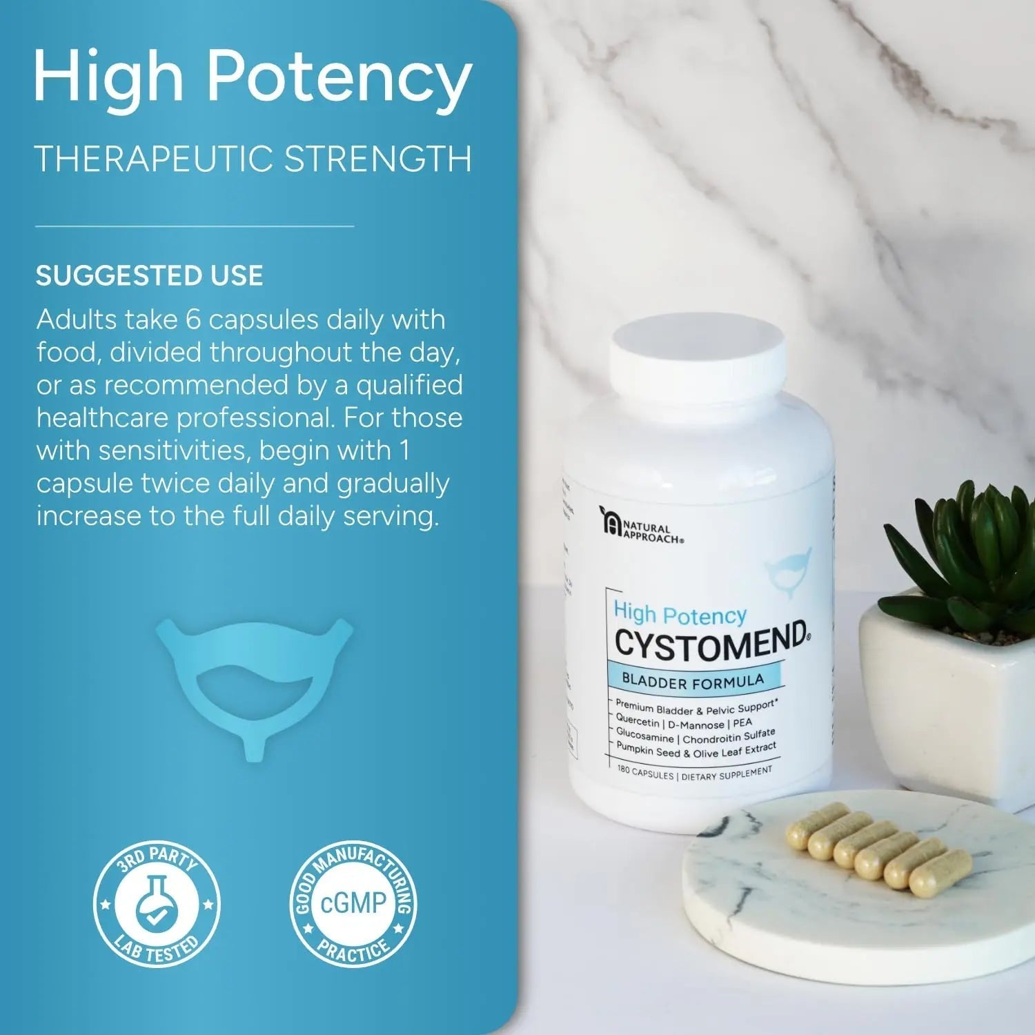 CystoMend Bladder & Pelvic Discomfort Formula (High Potency) - Supports Less Flares & Urgency* - Premium Bladder Support for Women & Men - USA Manufactured & Third-Party Tested - 180 Capsules CystoMend uk supplements