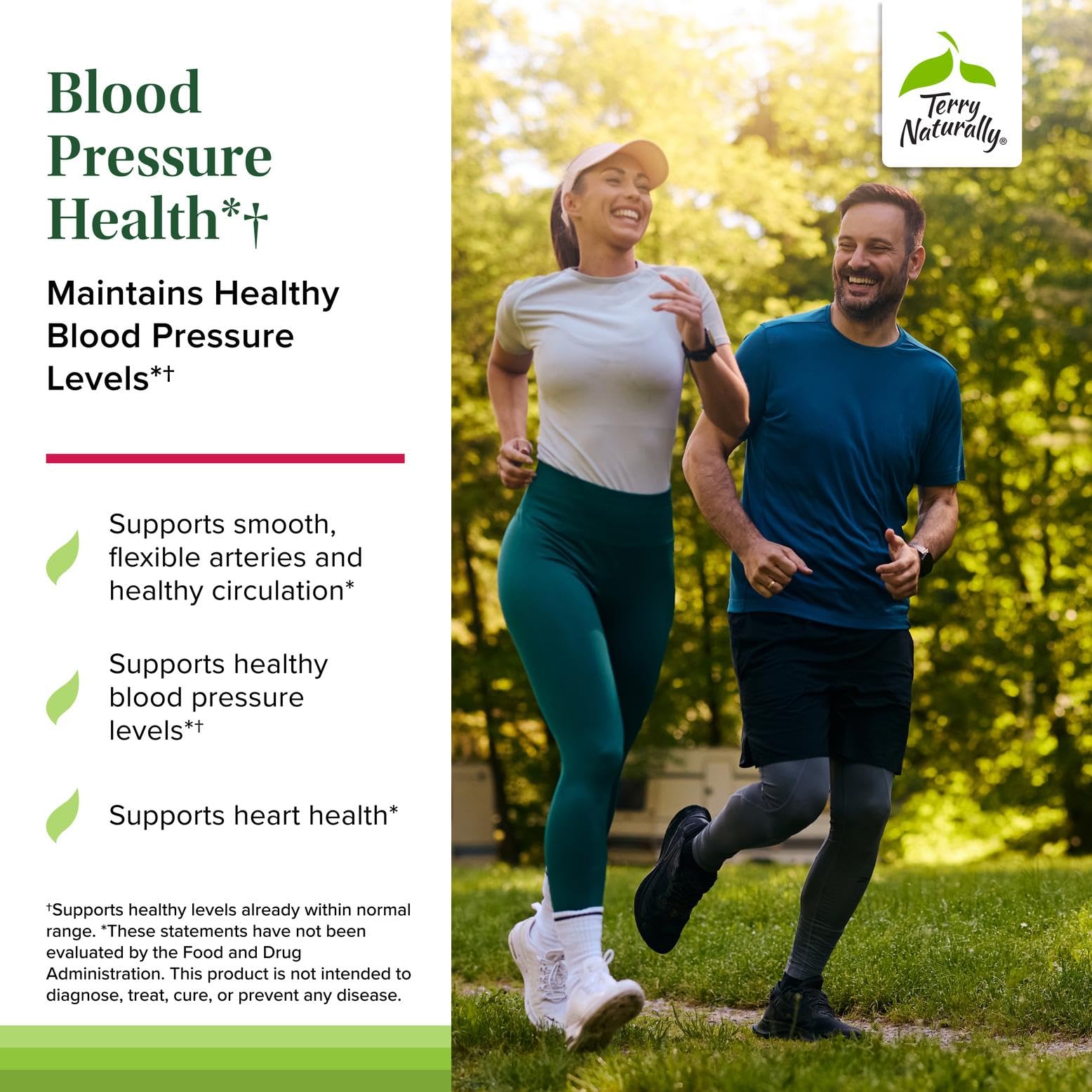 Terry Naturally Blood Pressure Health - Healthy Blood Flow & Circulation Support Supplement - Heart Health Supplement with Antioxidants - Cardiovascular Support - 60 Capsules Terry Naturally uk supplements