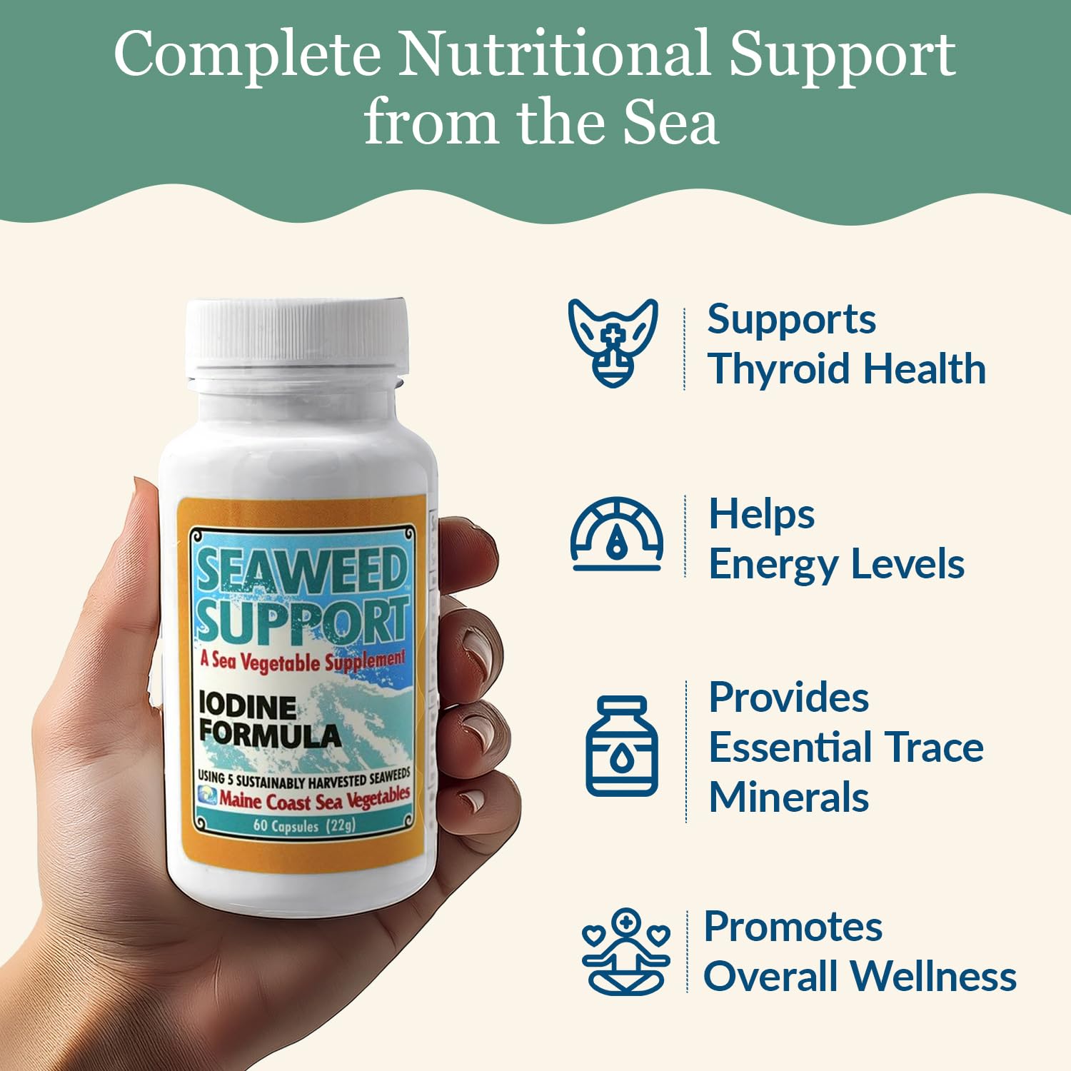 Maine Coast Sea Vegetables Seaweed Support Iodine Formula | Source of Iodine from Seaweed | Daily Use Iodine Supplement | Organic Alaria, Rockweed, Sea Lettuce, Dulse & Bladderwrack blend | 60 Capsule Maine Coast Sea Vegetables uk supplements