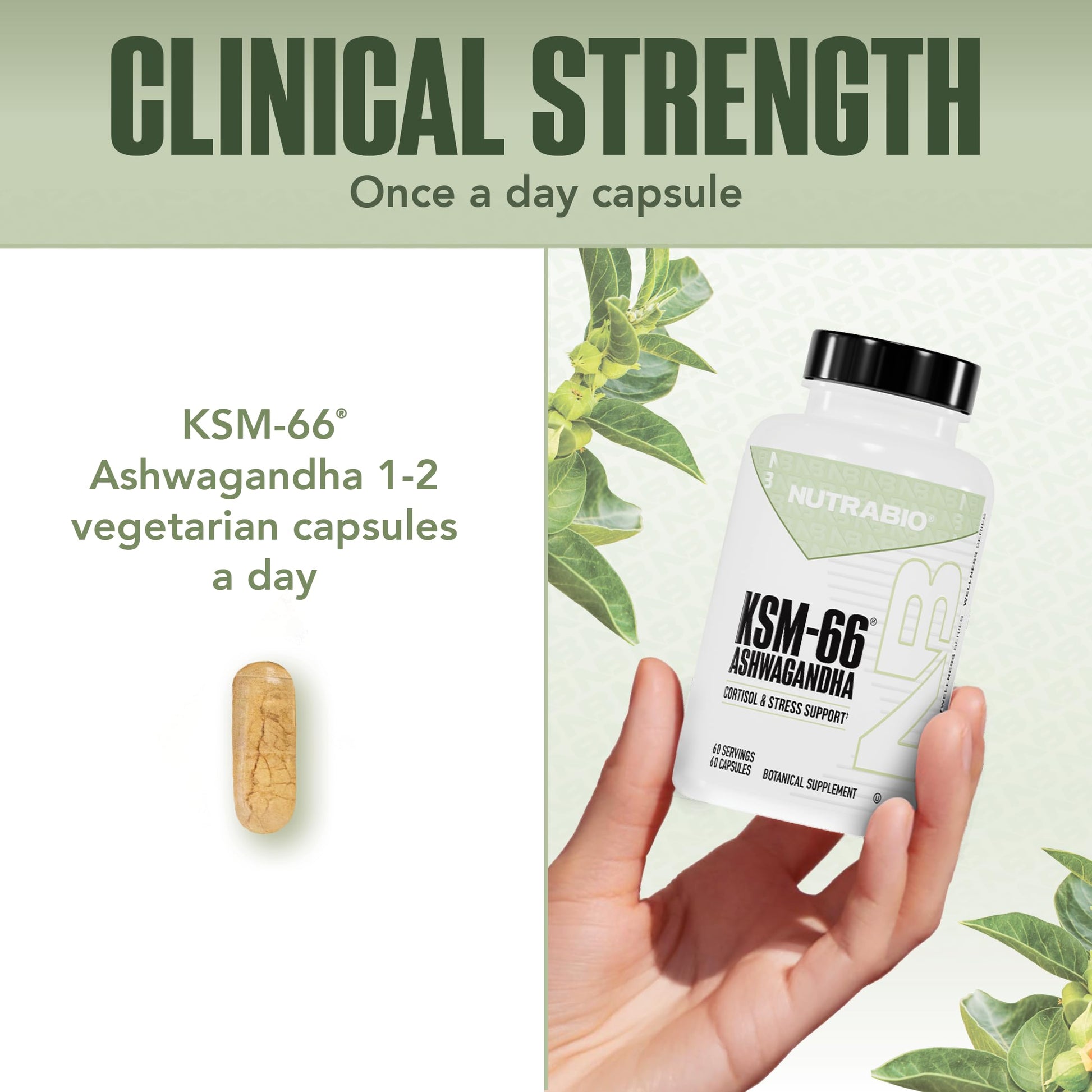 NutraBio Ashwagandha KSM-66 | Ashwagandha Herbal Supplement for Stress, Mood, & Performance | 600 MG of Clinically Studied KSM66 60 Capsules NutraBio uk supplements