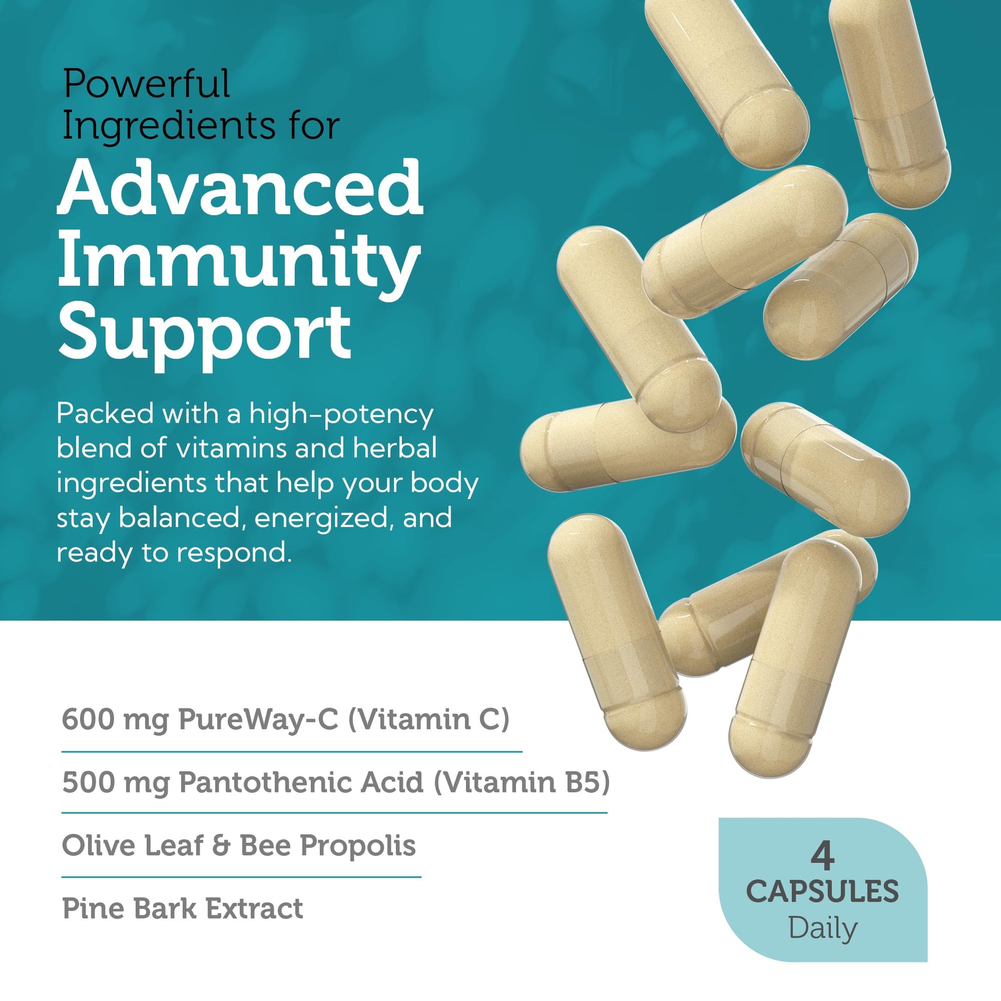 Zahler Immune Defense, Immune System Support, Certified Kosher, 120 Capsules Zahler uk supplements
