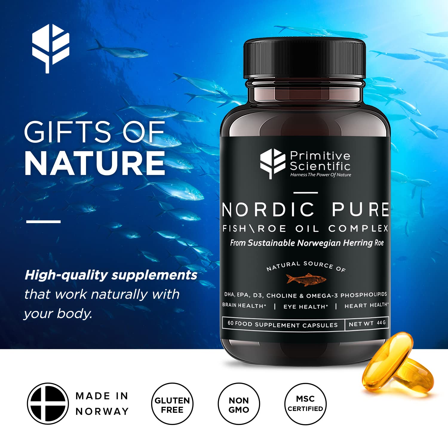 Primitive Scientific Nordic Pure Oil Complex (60 Fish Oil Capsules) for Brain, Immunity & Vision - Heart Supplement w/EPA, DHA, Vitamin D3, Choline - Omega 3 Supplements Primitive Scientific uk supplements