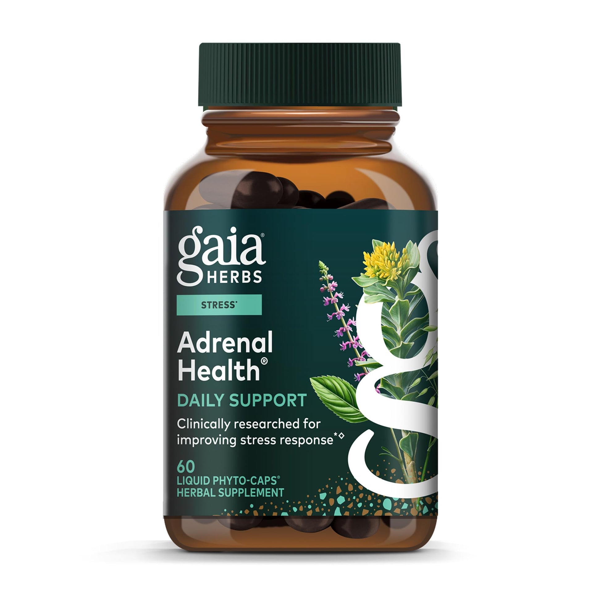 Gaia Herbs Adrenal Health Daily Support - Herbal Supplement with Ashwagandha, Holy Basil & Schisandra - Help Maintain Healthy Energy & Stress Levels* - 60 Vegan Liquid Phyto-Caps (30 Servings) Gaia Herbs uk supplements