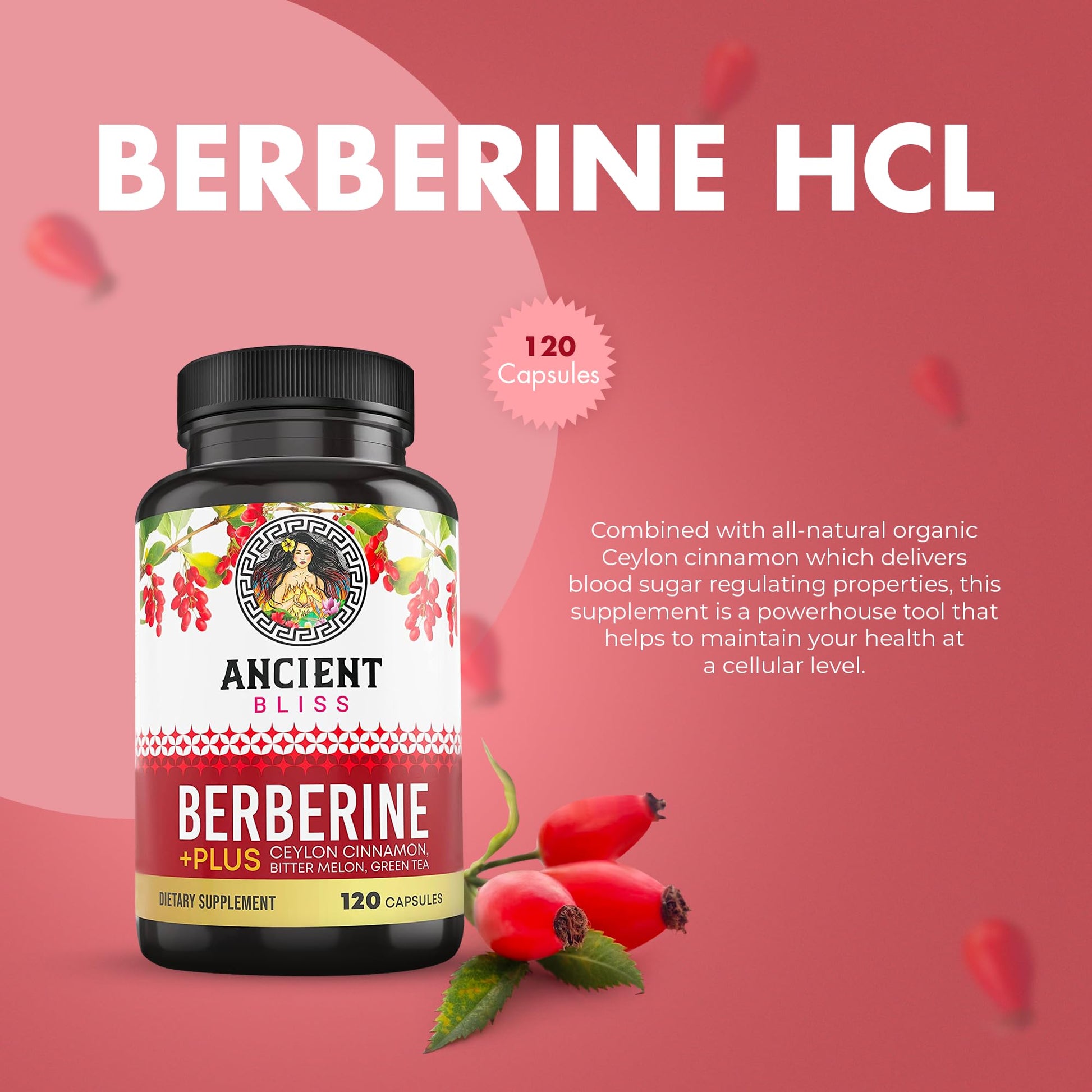 Ancient Bliss Berberine HCL 1200mg with Ceylon Cinnamon, Bitter Melon, and Green Tea Ancient Bliss uk supplements