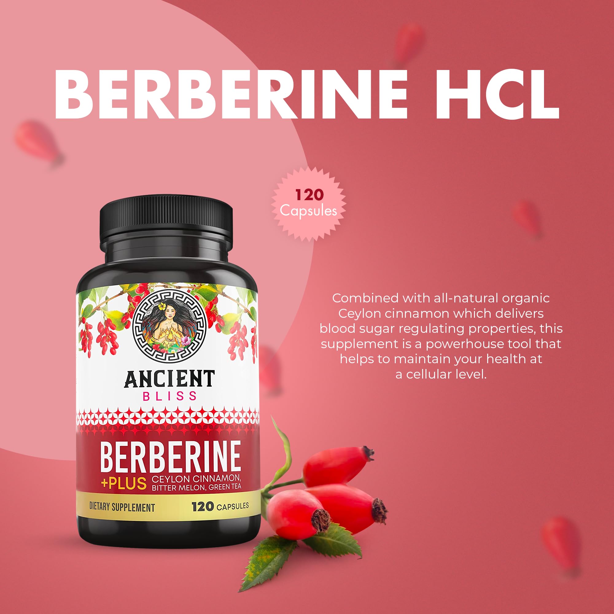 Ancient Bliss Berberine HCL 1200mg with Ceylon Cinnamon, Bitter Melon, and Green Tea Ancient Bliss uk supplements