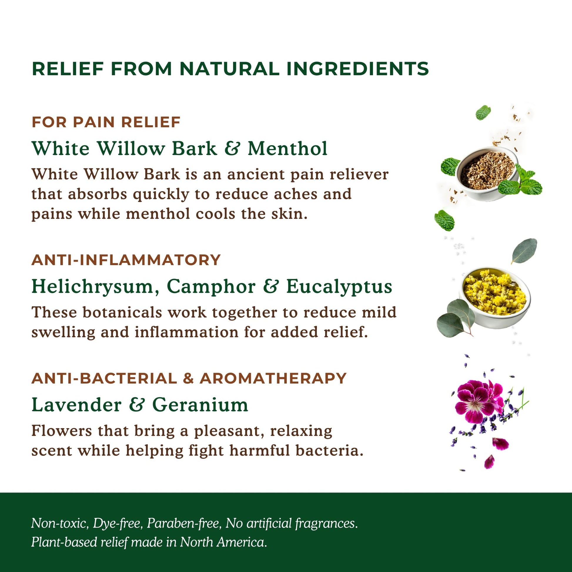 Nature's Willow Willow Balm Natural Pain Relief Cream for Muscles & Joints | Fast-Acting with Willow Bark & Menthol | Free from Artificial Fragrances & Dyes | 6-Pack | 3.5 fl oz Nature's Willow uk supplements