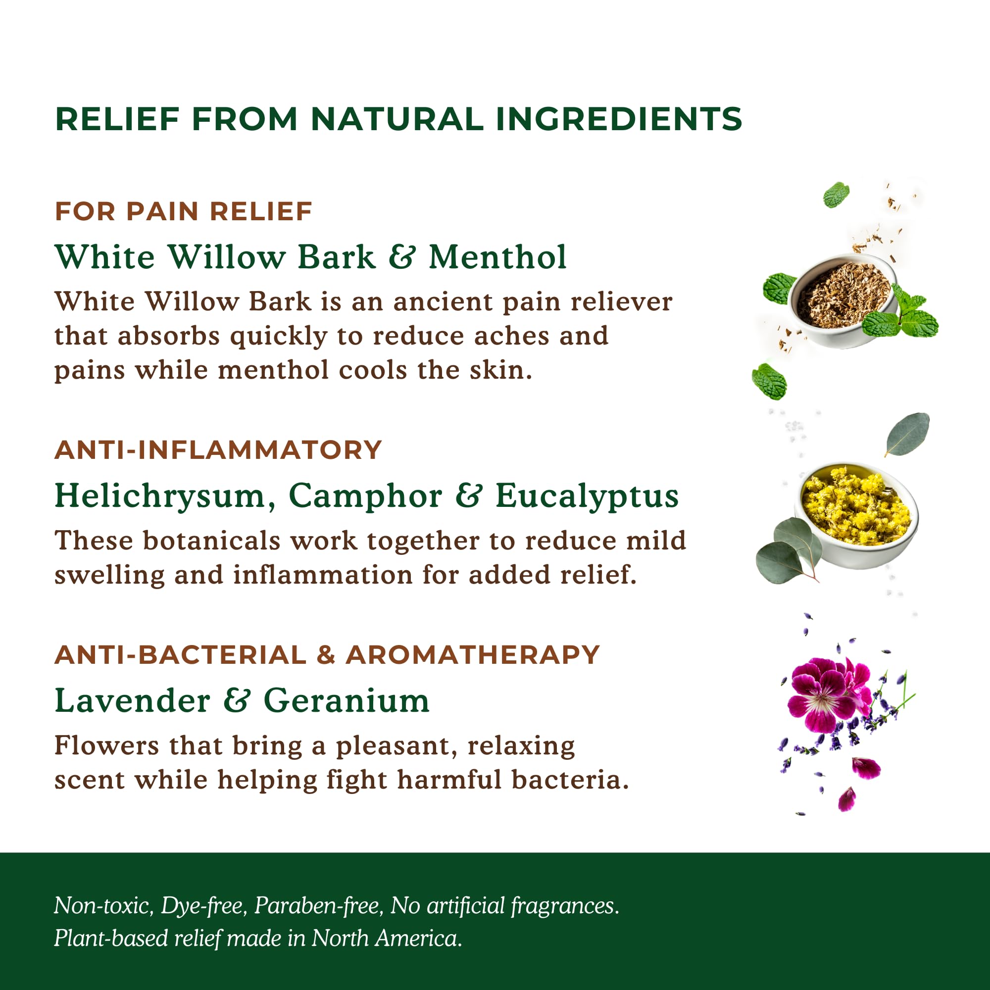 Nature's Willow Willow Balm Natural Pain Relief Cream for Muscles & Joints | Fast-Acting with Willow Bark & Menthol | Free from Artificial Fragrances & Dyes | 6-Pack | 3.5 fl oz Nature's Willow uk supplements