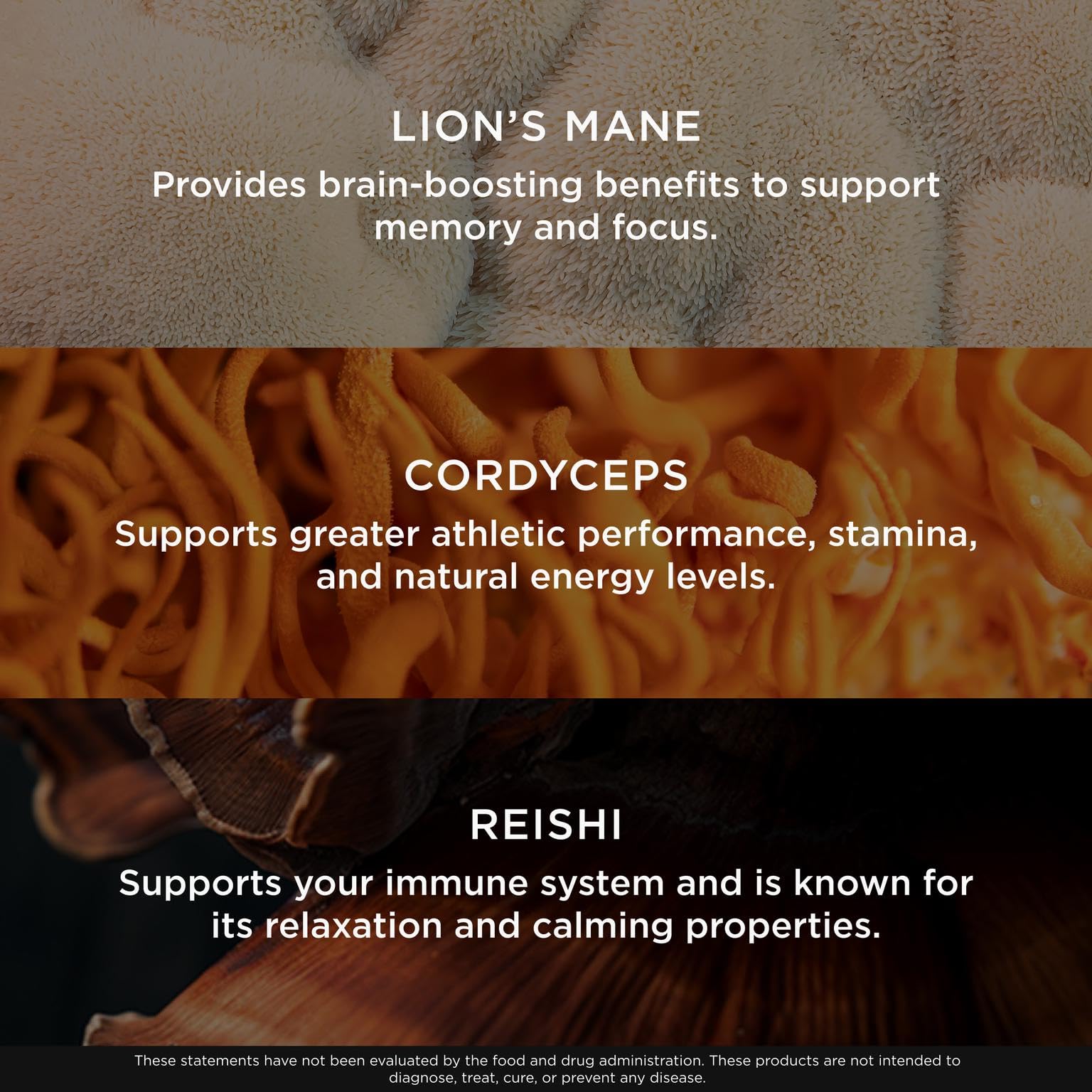 Genius Mushroom Supplement - Full-Spectrum Lion’s Mane, Cordyceps, Reishi -Daily Brain Nootropic for Energy, Focus, Memory & Overall Wellness - 180 Capsules – Organic for Mental Clarity & Performance The Genius Brand uk supplements