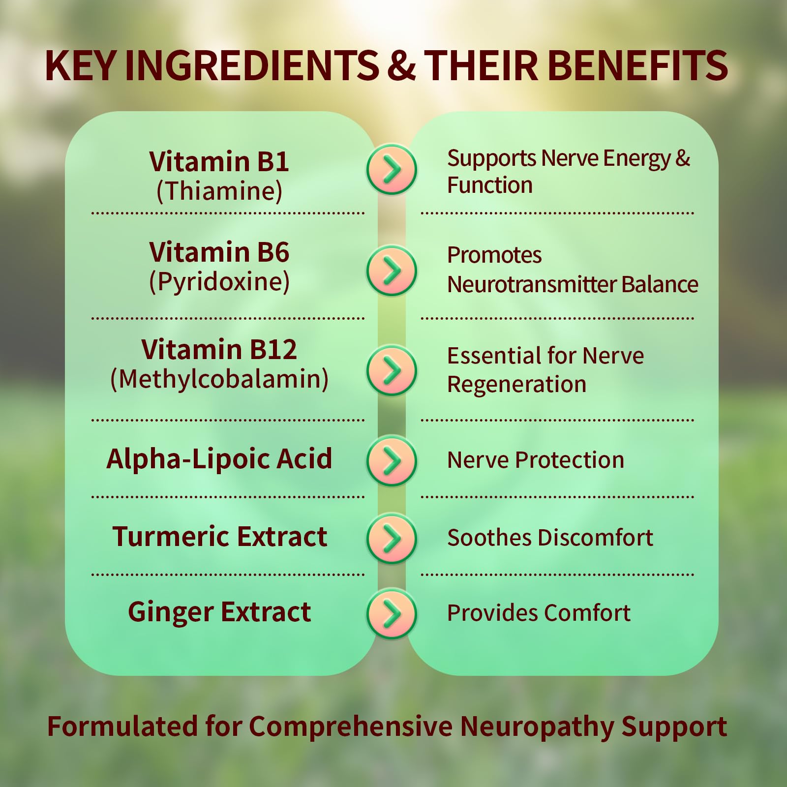Sugar Free Neuropathy Support Gummies for Nerve – Enhanced Nerve Health, Regeneration, Cognitive Support with Vitamin B1, B6, B12, Magnesium, ALA, Turmeric, CoQ10 & More Warmbioder uk supplements