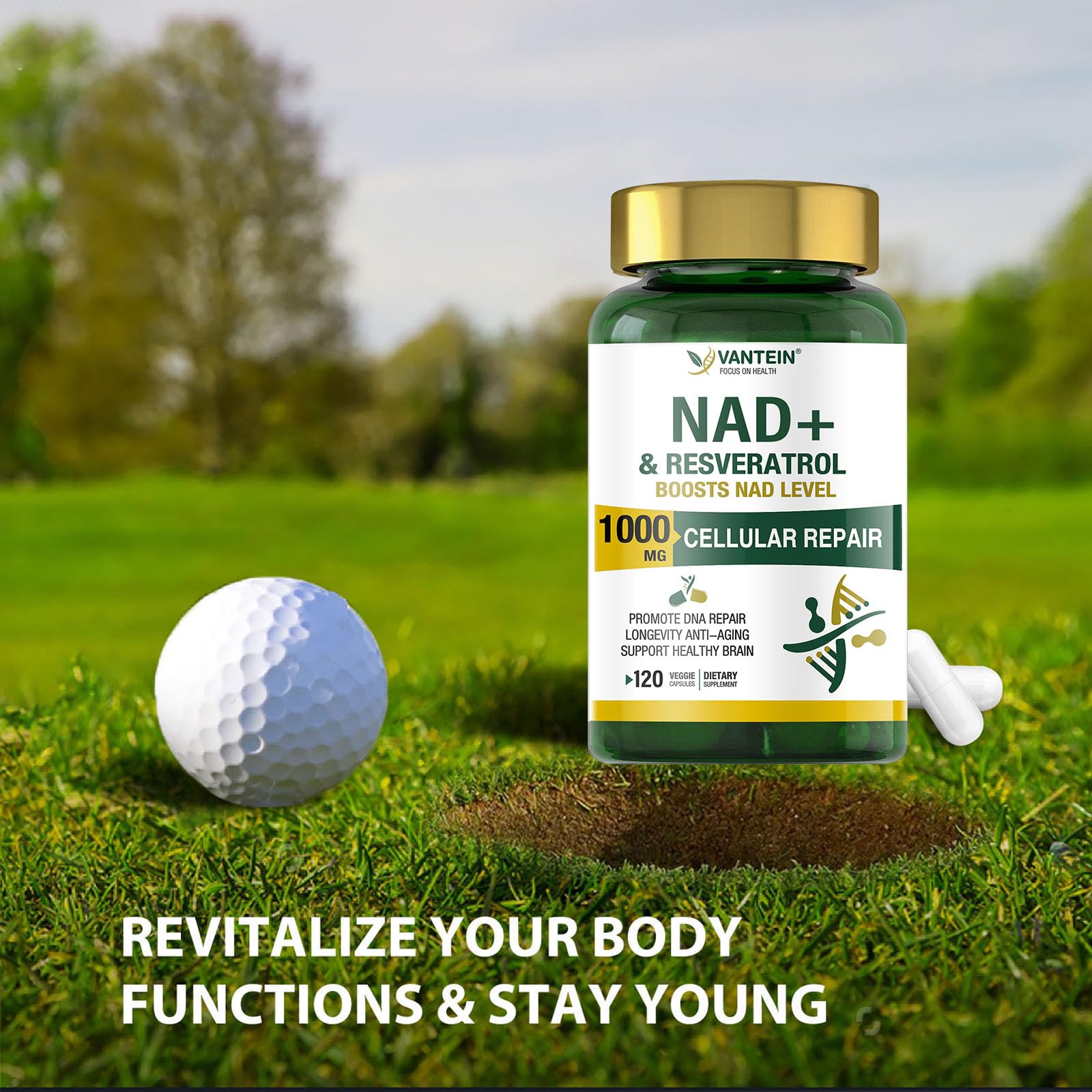 TEATTY NAD+ & Resveratrol Supplement - NMN Alternative with 120 Capsules, Anti-Aging Cellular Support, Energy & Longevity Booster, DNA Repair Formula TEATTY uk supplements