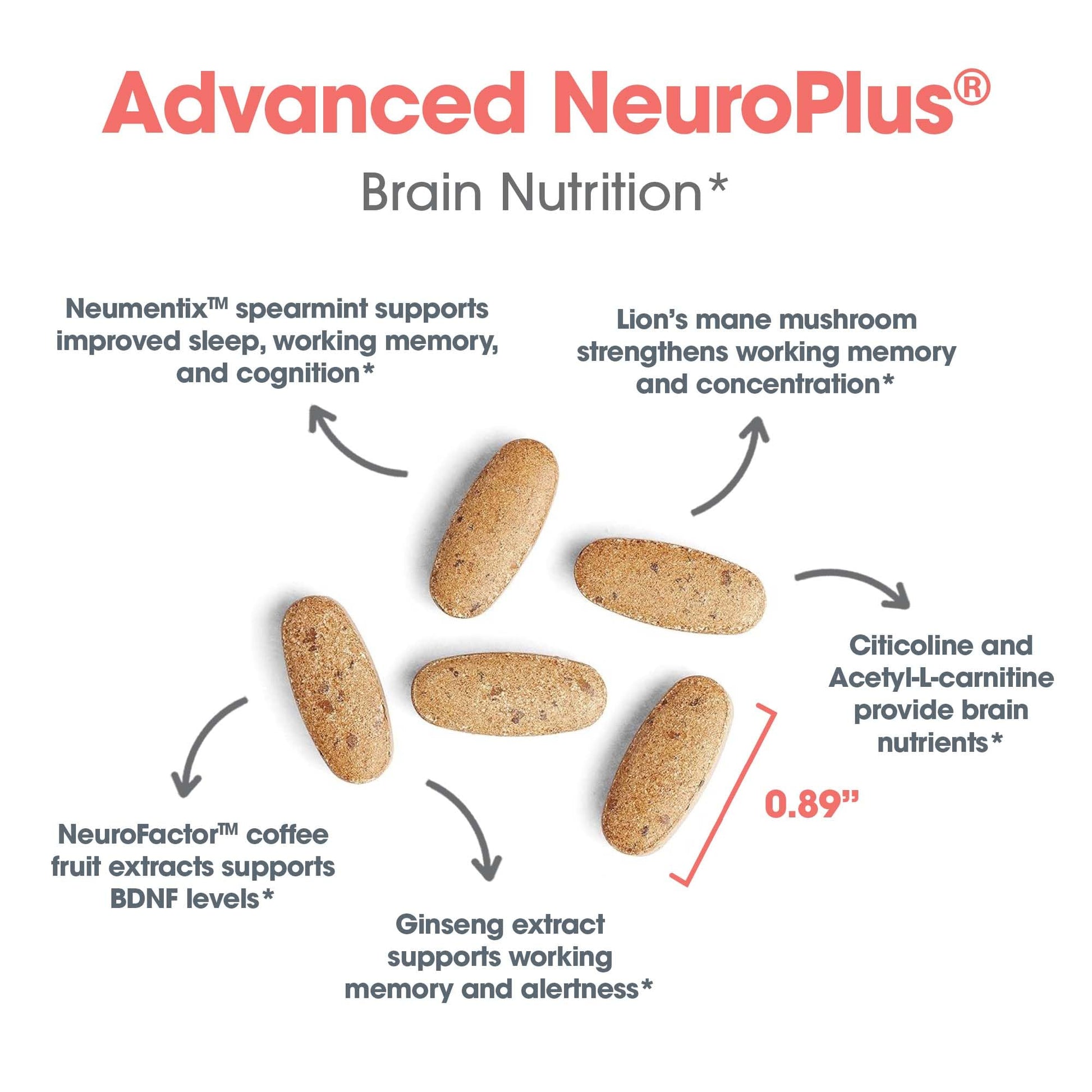 Allergy Research Group Advanced NeuroPlus - Nootropic Formula with Spearmint Extract, Lions Mane & Citicoline - Supports Working Memory Focus & Cognitive Function - 30 Servings - 90 Tablets Allergy Research Group uk supplements