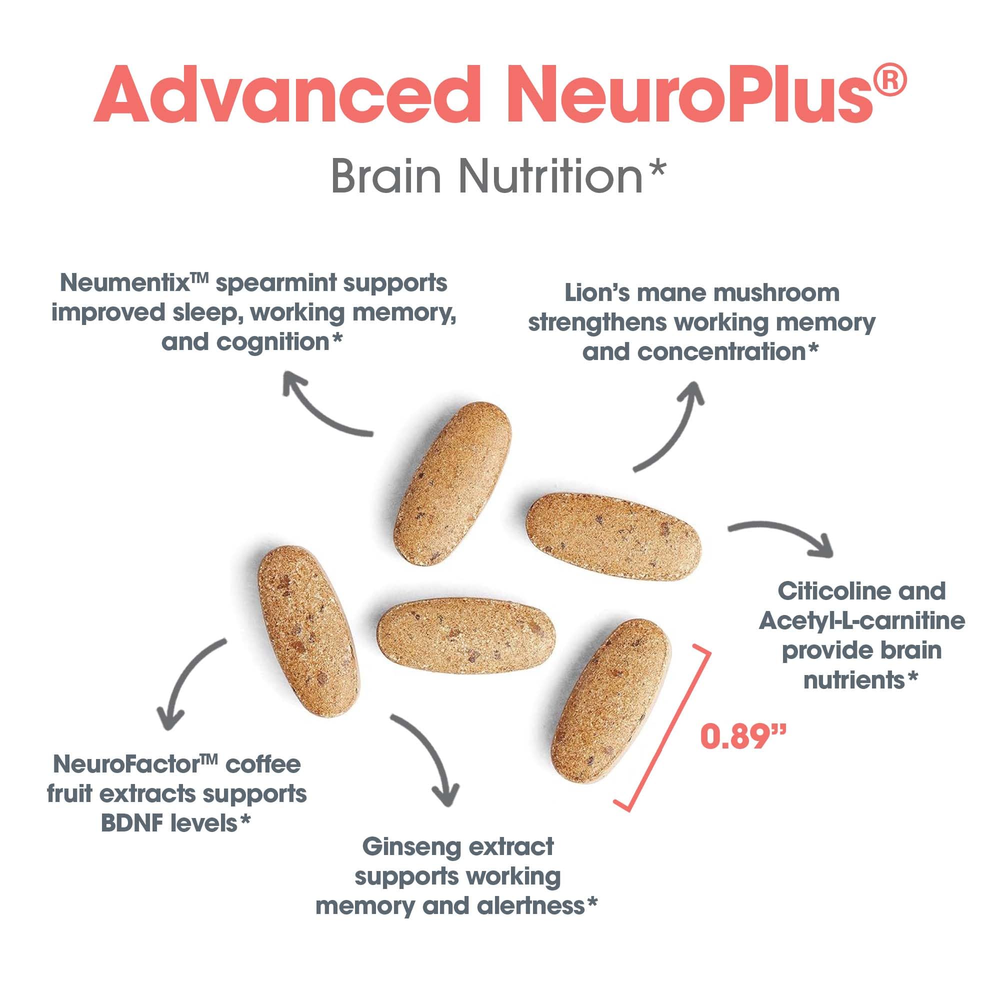 Allergy Research Group Advanced NeuroPlus - Nootropic Formula with Spearmint Extract, Lions Mane & Citicoline - Supports Working Memory Focus & Cognitive Function - 30 Servings - 90 Tablets Allergy Research Group uk supplements