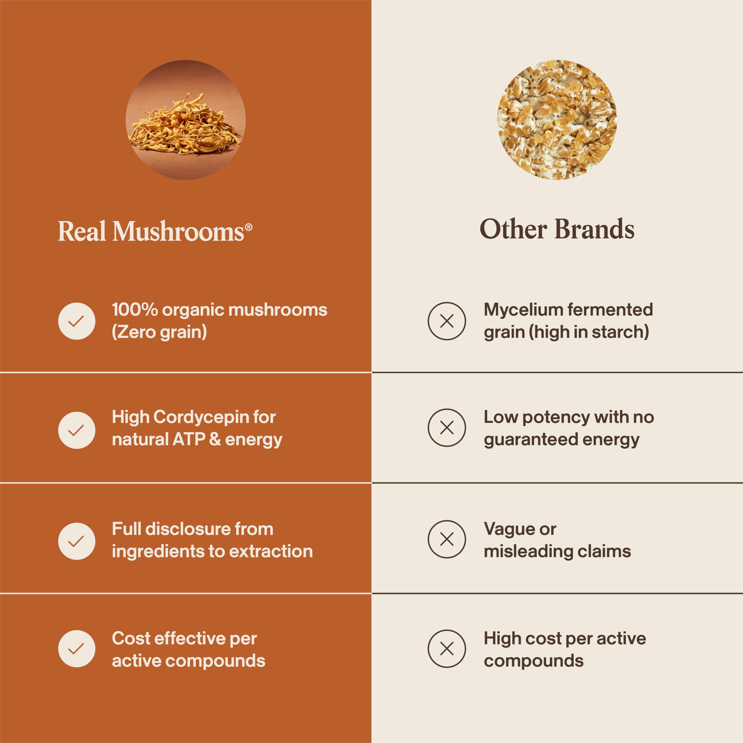 Real Mushrooms Supplement Capsules - Cordyceps Mushroom Powder Rich in Beta Glucans - Mushroom Pills Cordyceps for Energy and Performance - Vegan, Non-GMO, No Grain Fillers, 120 ct Real Mushrooms uk supplements