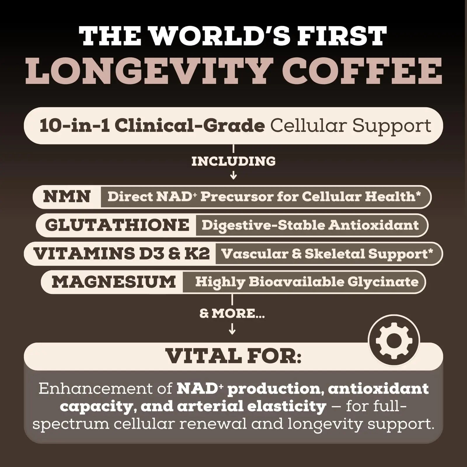Black Forest Longevity Mix Liquid NAD+ Alternative Mocha Coffee 10-in-1 with NMN 250mg, Glutathione 250mg, TMG, Magnesium Glycinate, Vitamins D3 K2 C B12, High Polyphenol Cocoa, 30 Servings Black Forest uk supplements