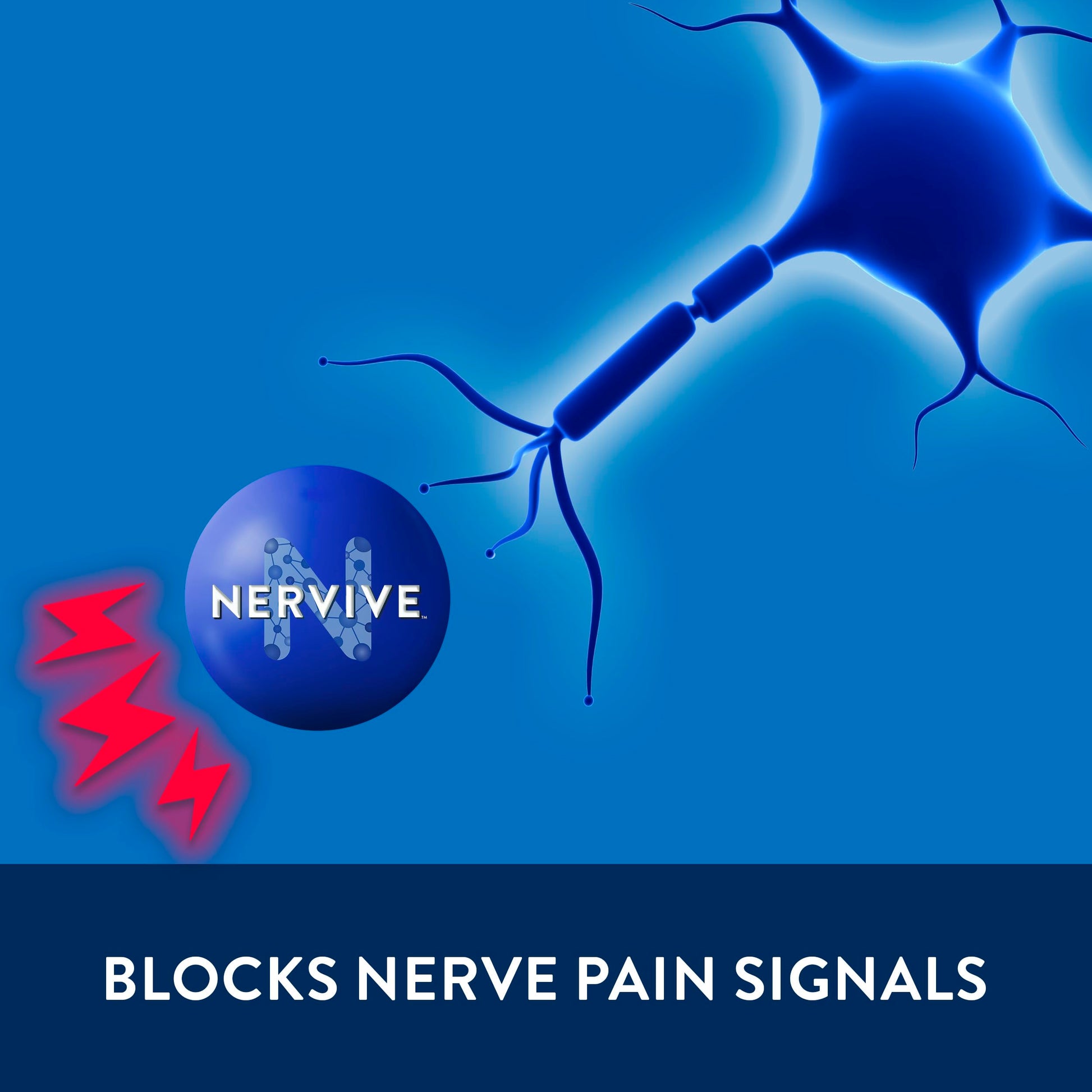 Nervive Pain Relieving Spray, Lidocaine Spray, Nervive Pain Relief, Lidocaine Topical, Foot Pain, Leg Pain, Hand Pain, Max Strength Formula, for Hard to Reach Areas, 4.5oz Nervive uk supplements