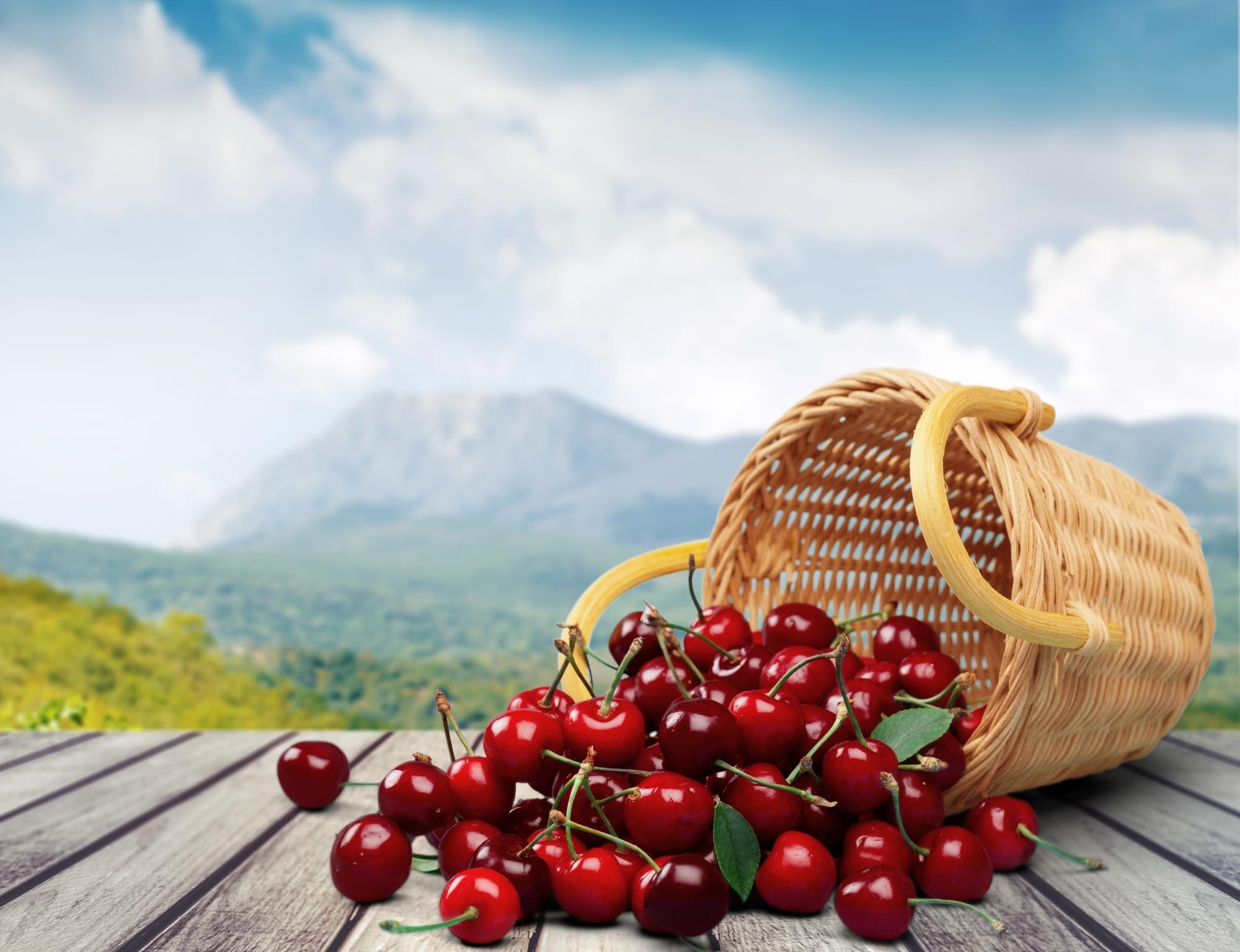 Gout and You Tart Cherry Extract | 3000 mg Per Serving | 90 Vegetarian Capsules | Gluten-Free Gout and You uk supplements