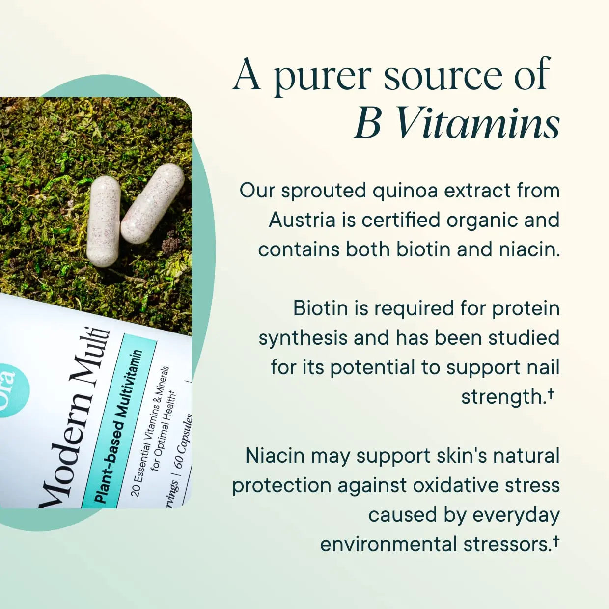 Ora Organic Plant Based Multivitamin for Women and Men, Bluelight Protection - Brain, Eye, Energy, Immune, Skin, Hair, Heart Ora Organic uk supplements