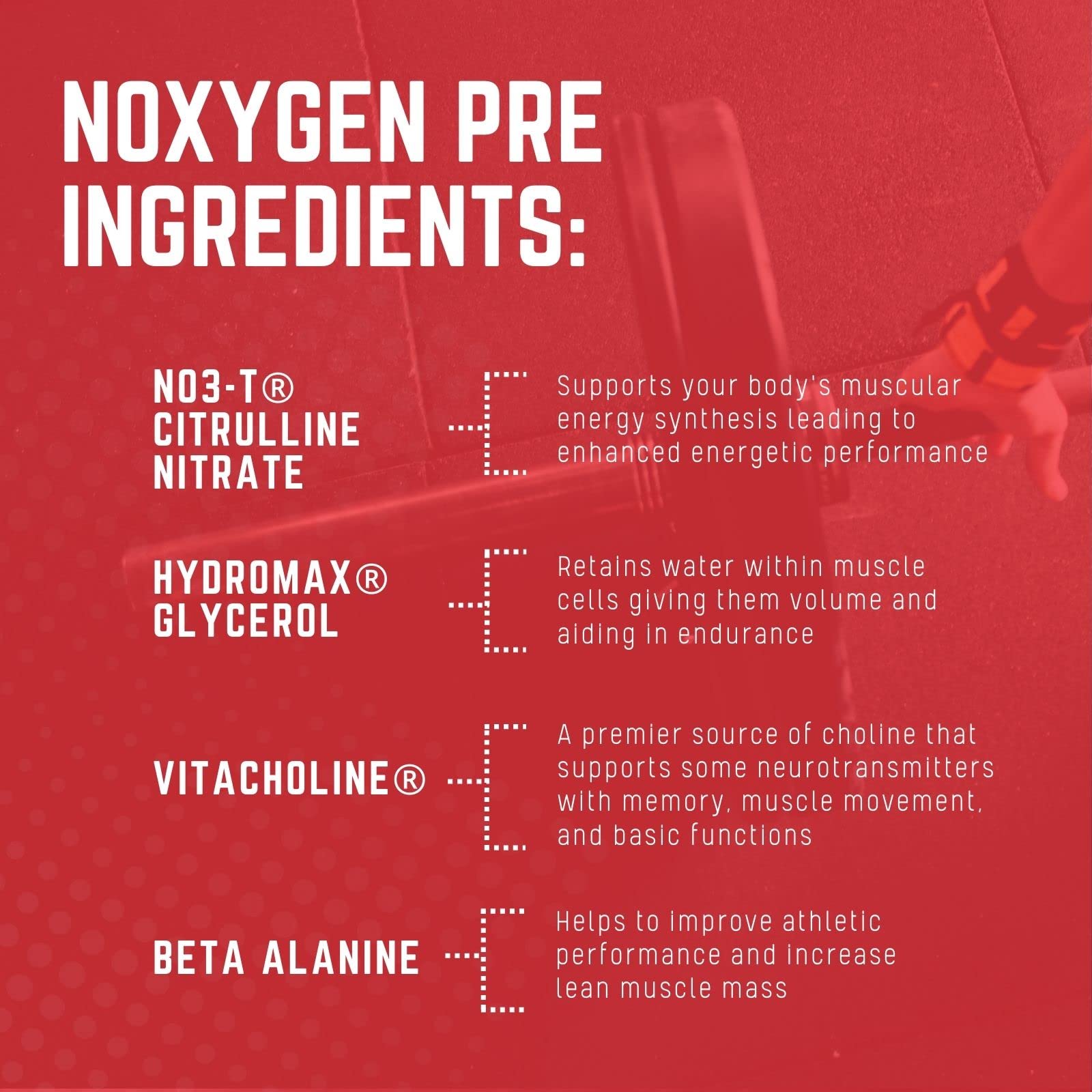 Purus Labs NOXYGEN PREWORKOUT Powder, 30 Servings (Strawberry Candy) Purus Labs uk supplements