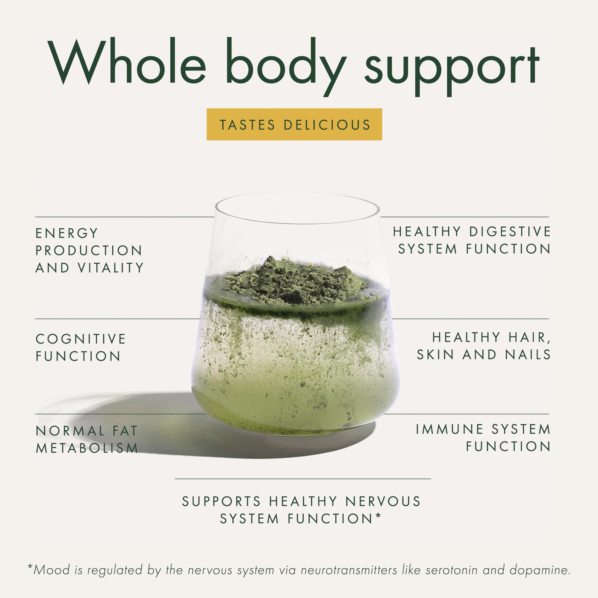 WelleCo The Super Elixir Daily Greens Powder, Probiotic Drink Mix with Whole Foods, Gluten Free, Vegan Gut Health Powder, Energy, Immunity, Healthy Skin, Hair & Nails (300g, Lemon Ginger) WelleCo uk supplements