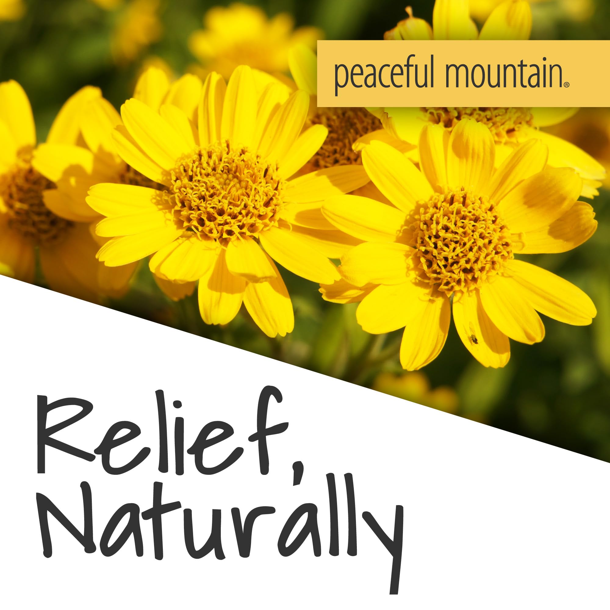 Peaceful Mountain Arnica Plus Homeopathic Gel - Natural Homeopthic Gel for Sore or cramping Muscles - 2oz Peaceful Mountain uk supplements