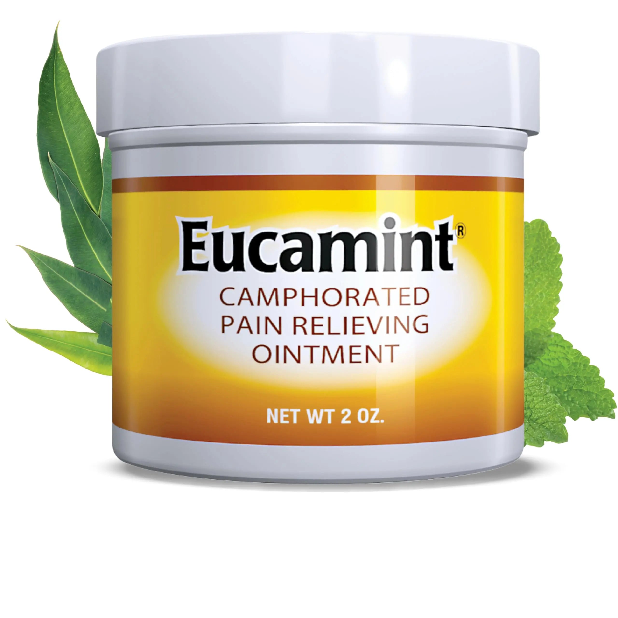Botanic Choice Eucamint-Pain Relieving Ointment-Muscle, Joints, Sinus, Coughs Botanic Choice uk supplements
