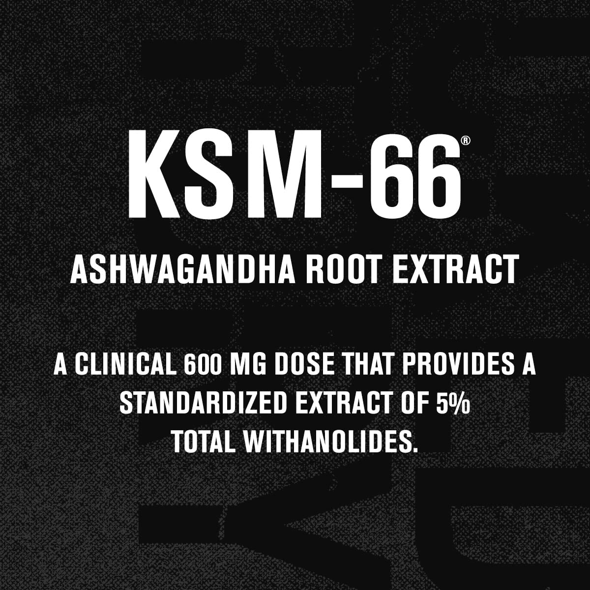 Jacked Factory Ashwagandha Root Extract (KSM-66 Ashwagandha) w/ 5% Withanolides - Supplement for Natural Stress Relief, Cognitive Function, Vitality, and Mood Support - 60 Veggie Capsules Jacked Factory uk supplements