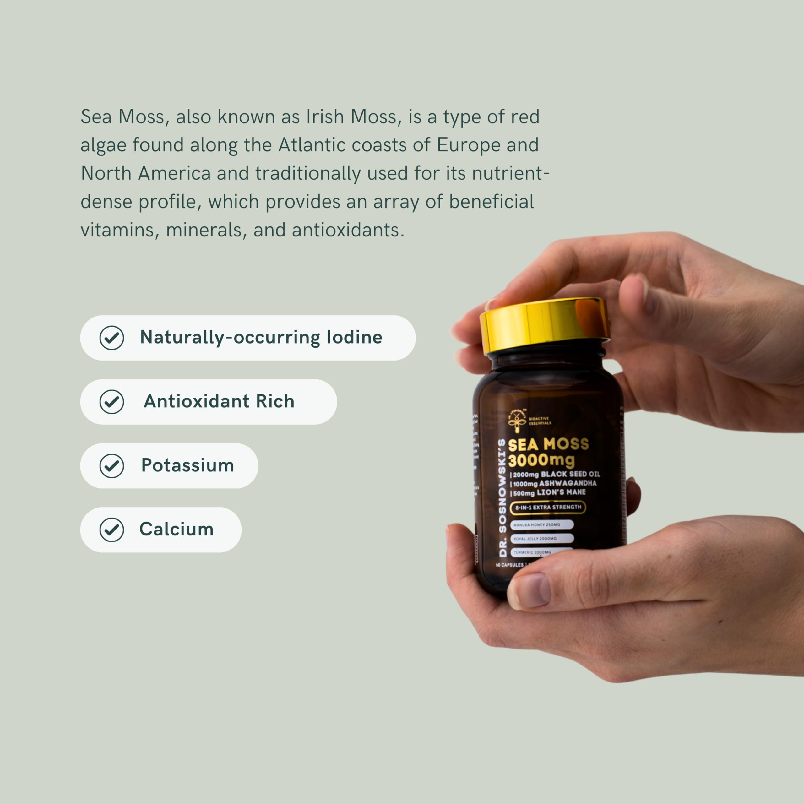Dr Sosnowski's BioActive Sea Moss | 8-in-1 Formula Enriched with Black Seed, Ashwagandha, Turmeric, Manuka Honey, Lion's Mane, Royal Jelly, Bee Propolis Extract | 60 Capsules Dr Sosnowski's uk supplements