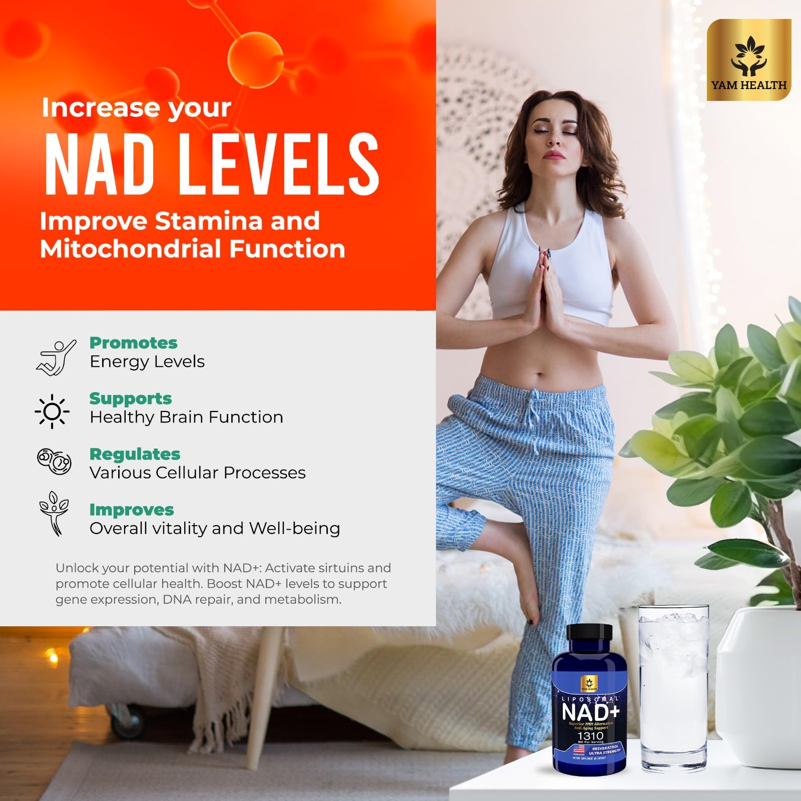 YAM Health Liposomal NAD Nicotinamide Riboside Equivalent with Trans-Resveratrol 300mg, Premium Halal NAD Supplement for Energy Metabolism, DNA Repair and Longevity, Vegan, Non-GMO (60 Count) YAM Health uk supplements