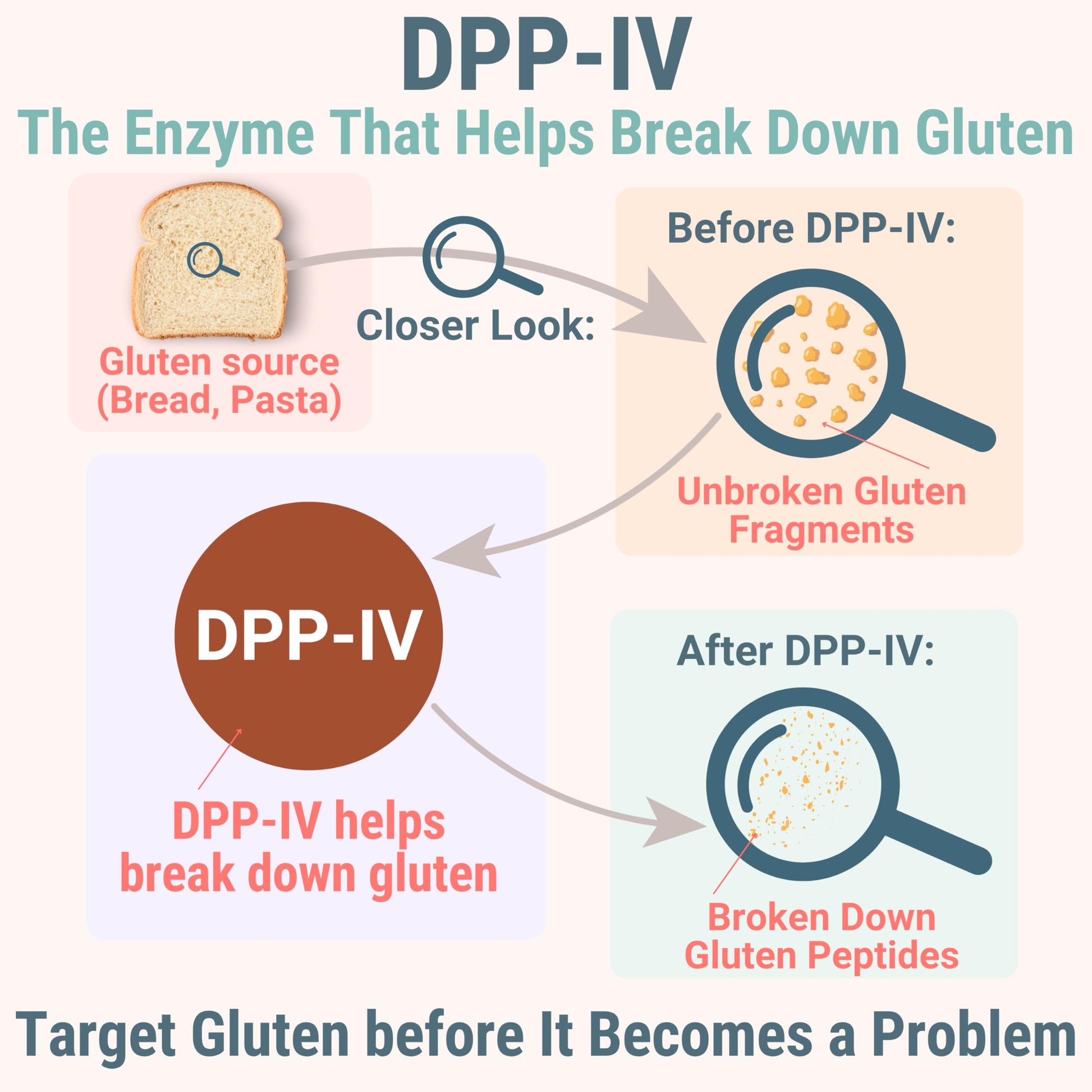 Gluten & Lactase Digestive Enzyme Gummies – Lactase Pancreatic Enzymes with DPP‑IV Lipase Gluco‑Amylase Lactase, Drops Chewables Capsules Pills Powder Supplement Alt, Pancreatic Support, for Kids SHIZAM uk supplements