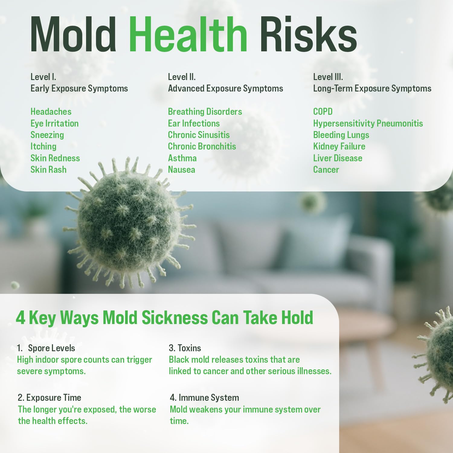 Microbial Mold Test Kit for Home - Indoor Air Quality and Surface Testing - Detects Black Mold, Mildew, and Fungi - Air and Surface Mold Detection Kit with Lab Analysis Included MICROBIAL MAINTENANCE uk supplements
