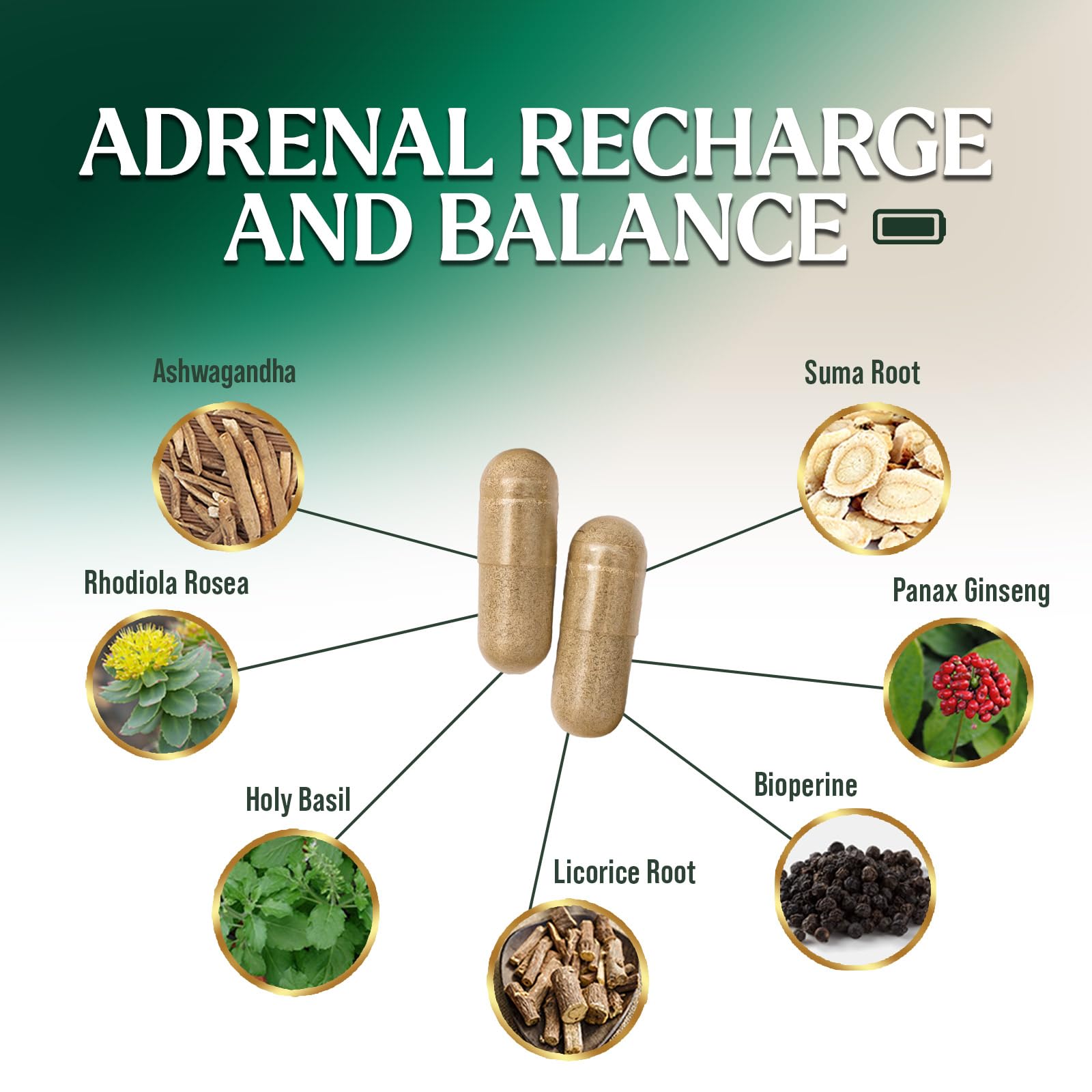 Nature's Nutrition Adrenal Support Supplements Cortex Complex, Best Energy Supplement, Supports Health & Energy Levels, Daily Ashwagandha for Women & Men, Supports Immune System, 120 Capsules Nature's Nutrition uk supplements