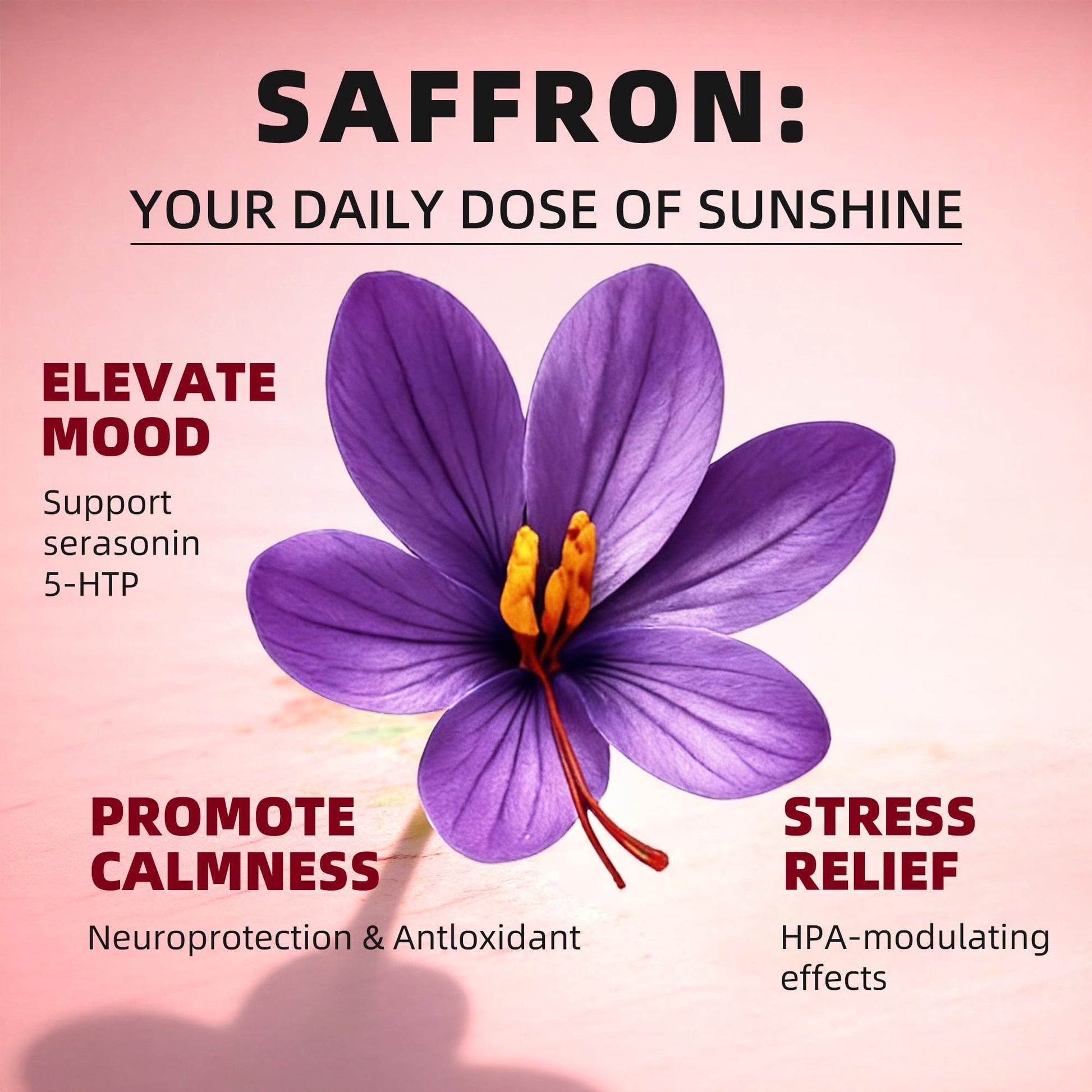 GREENPEOPLE Saffron Extract Supplements Drop - 24-in-1 88.5mg Saffron Extract with Ashwagandha,Black Cohosh & Lion's Mane for Mood&Focus,Stress Relief,Cortisol Reducer,Menopause – Vegan 2FL OZ GREENPEOPLE uk supplements