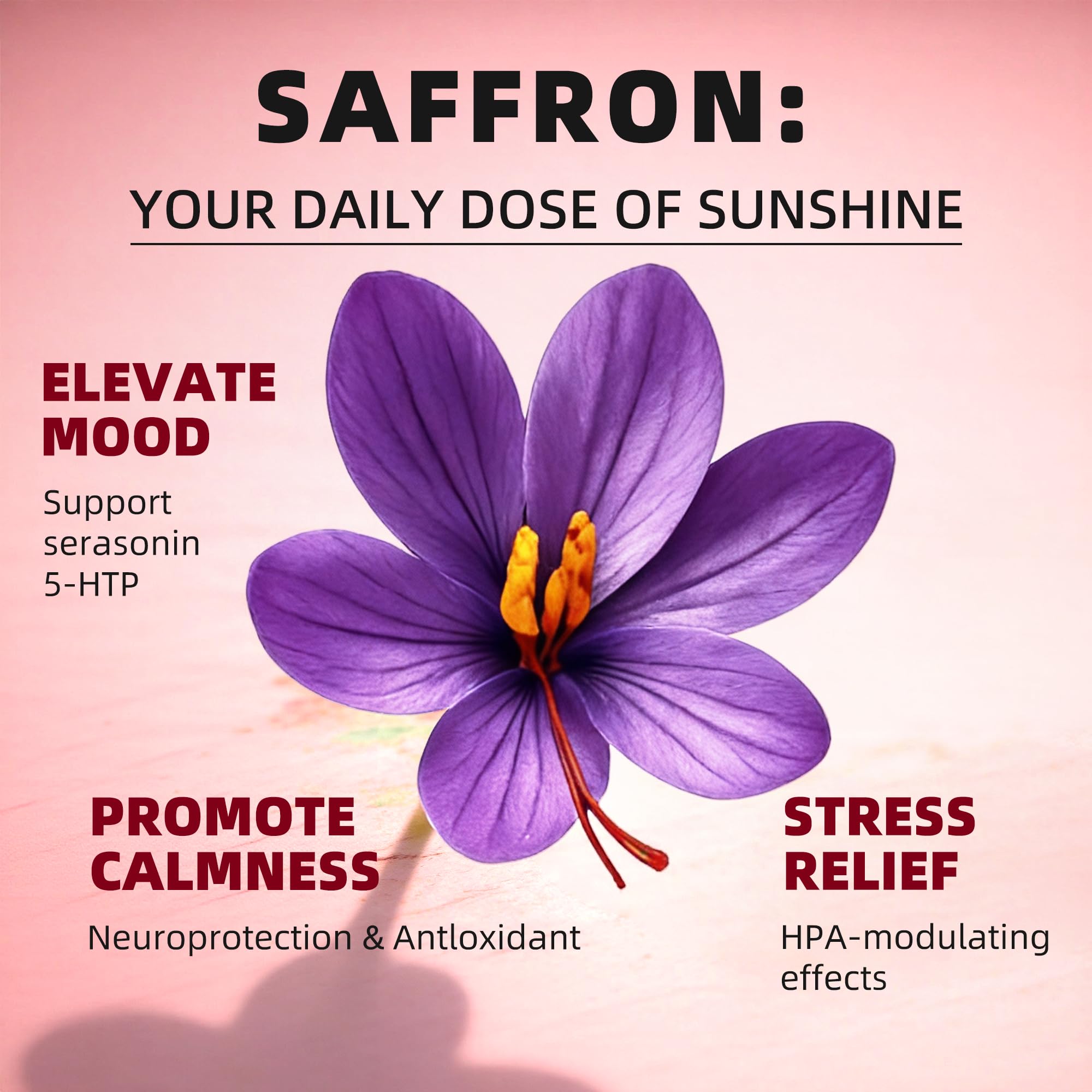 GREENPEOPLE Saffron Extract Supplements Drop - 24-in-1 88.5mg Saffron Extract with Ashwagandha,Black Cohosh & Lion's Mane for Mood&Focus,Stress Relief,Cortisol Reducer,Menopause – Vegan 2FL OZ GREENPEOPLE uk supplements